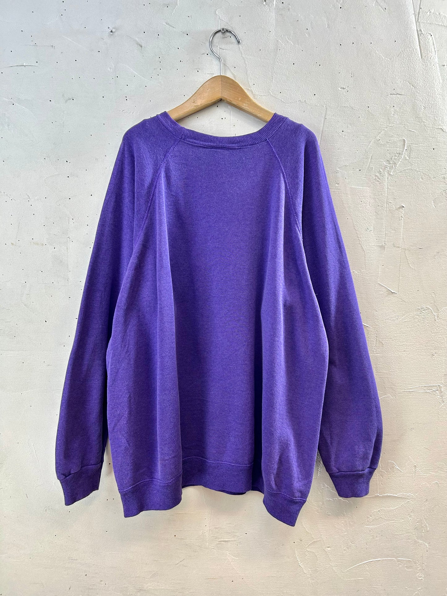 Vintage Sweat 〜Hanes〜 [I28448]