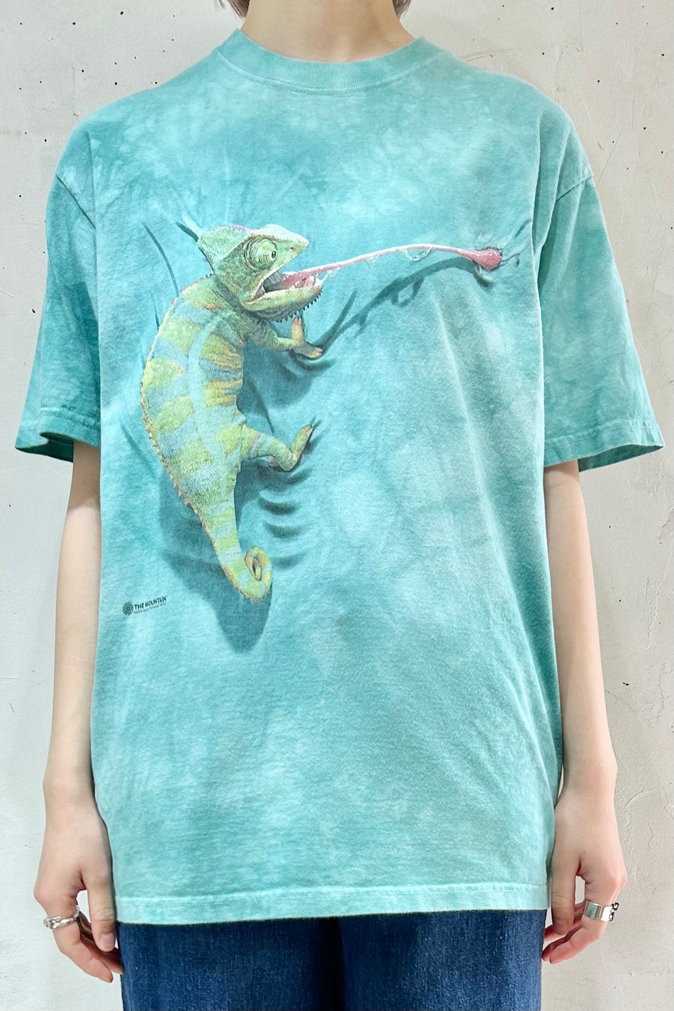 Vintage T-Shirt 〜THE MOUNTAIN〜 [D26724]