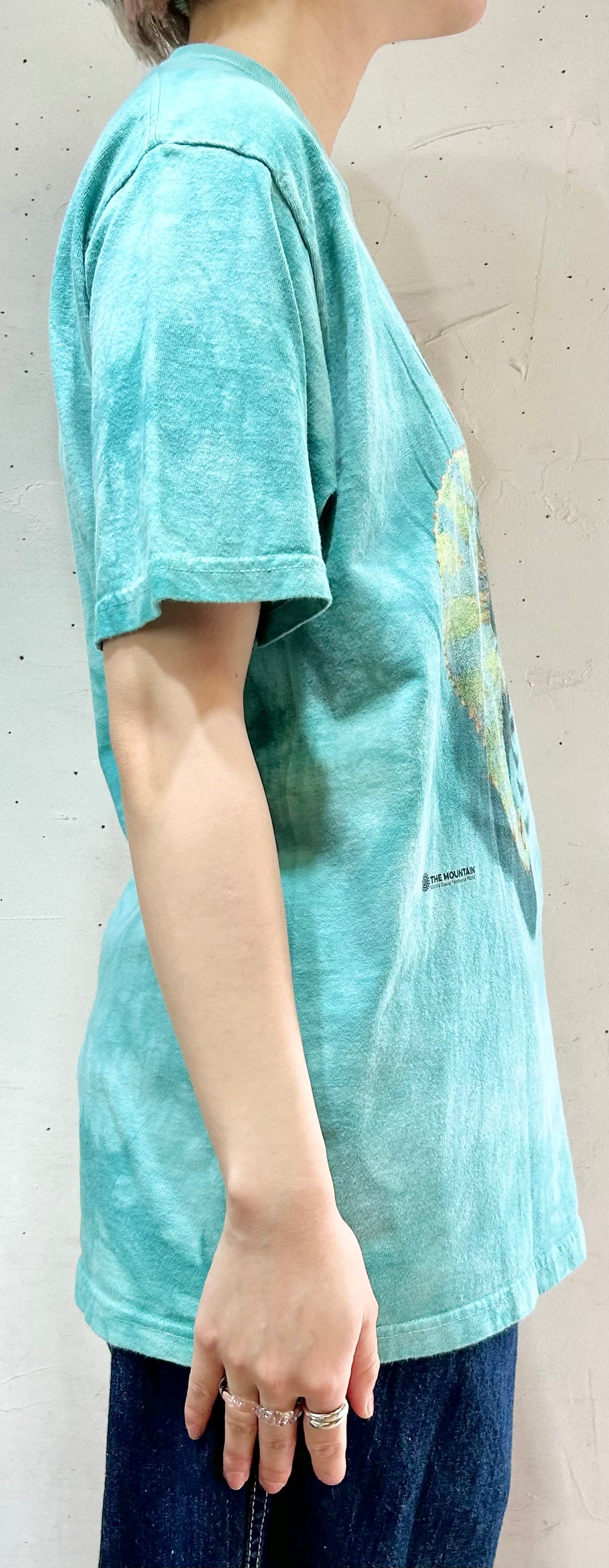 Vintage T-Shirt 〜THE MOUNTAIN〜 [D26724]