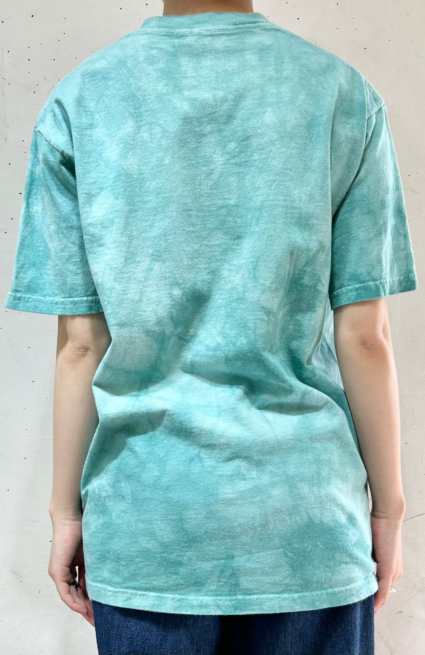 Vintage T-Shirt 〜THE MOUNTAIN〜 [D26724]