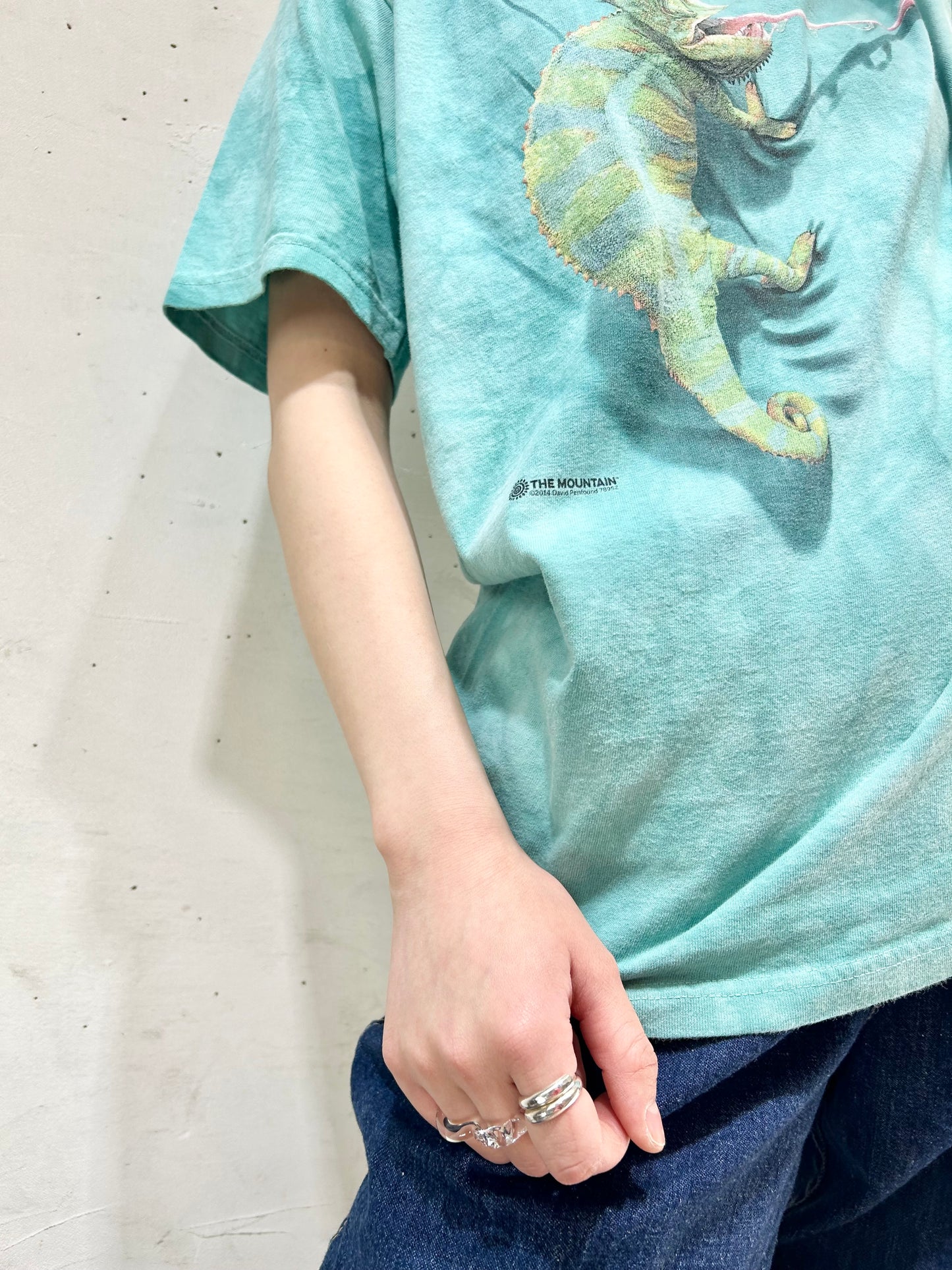 Vintage T-Shirt 〜THE MOUNTAIN〜 [D26724]
