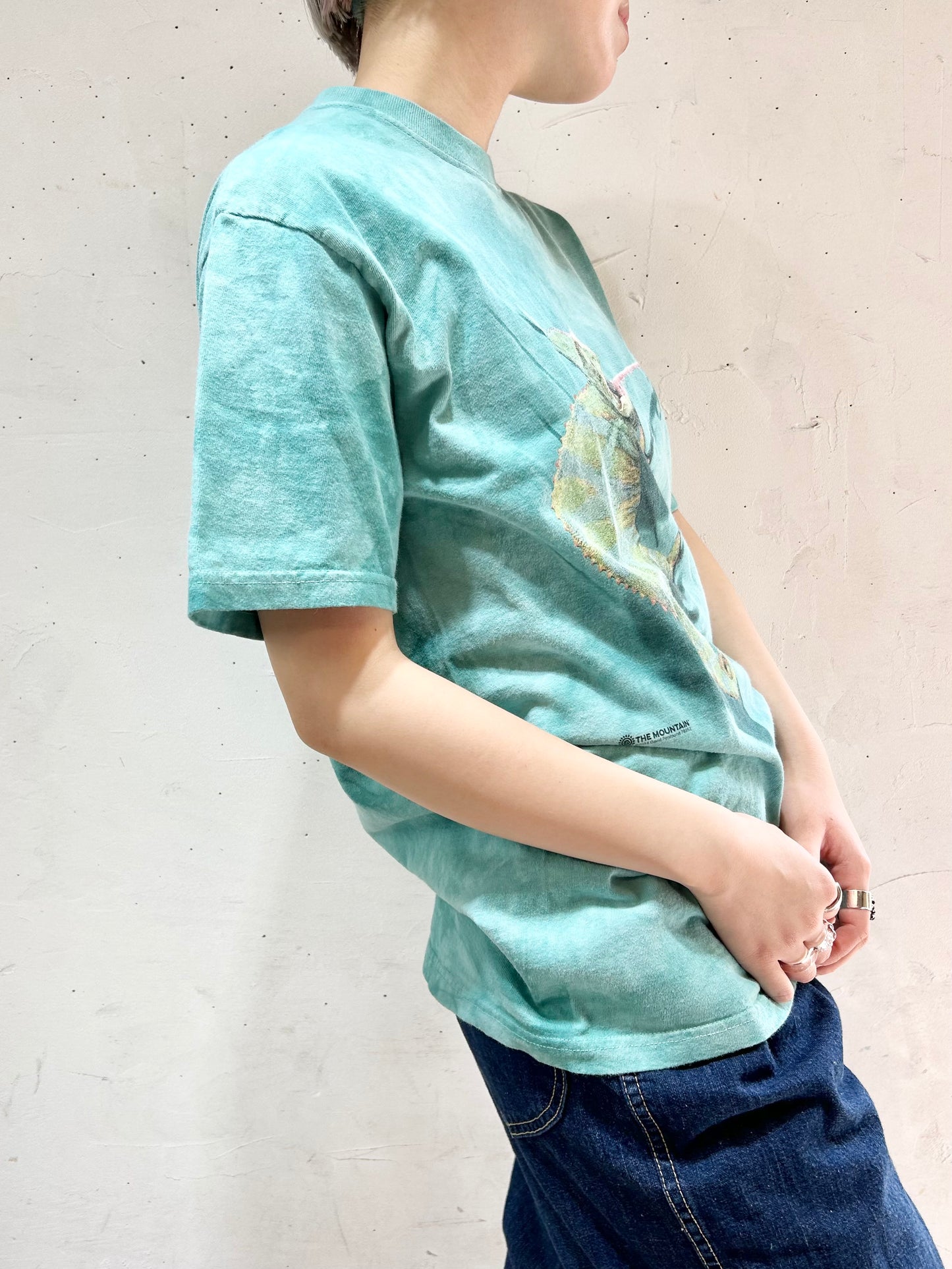 Vintage T-Shirt 〜THE MOUNTAIN〜 [D26724]