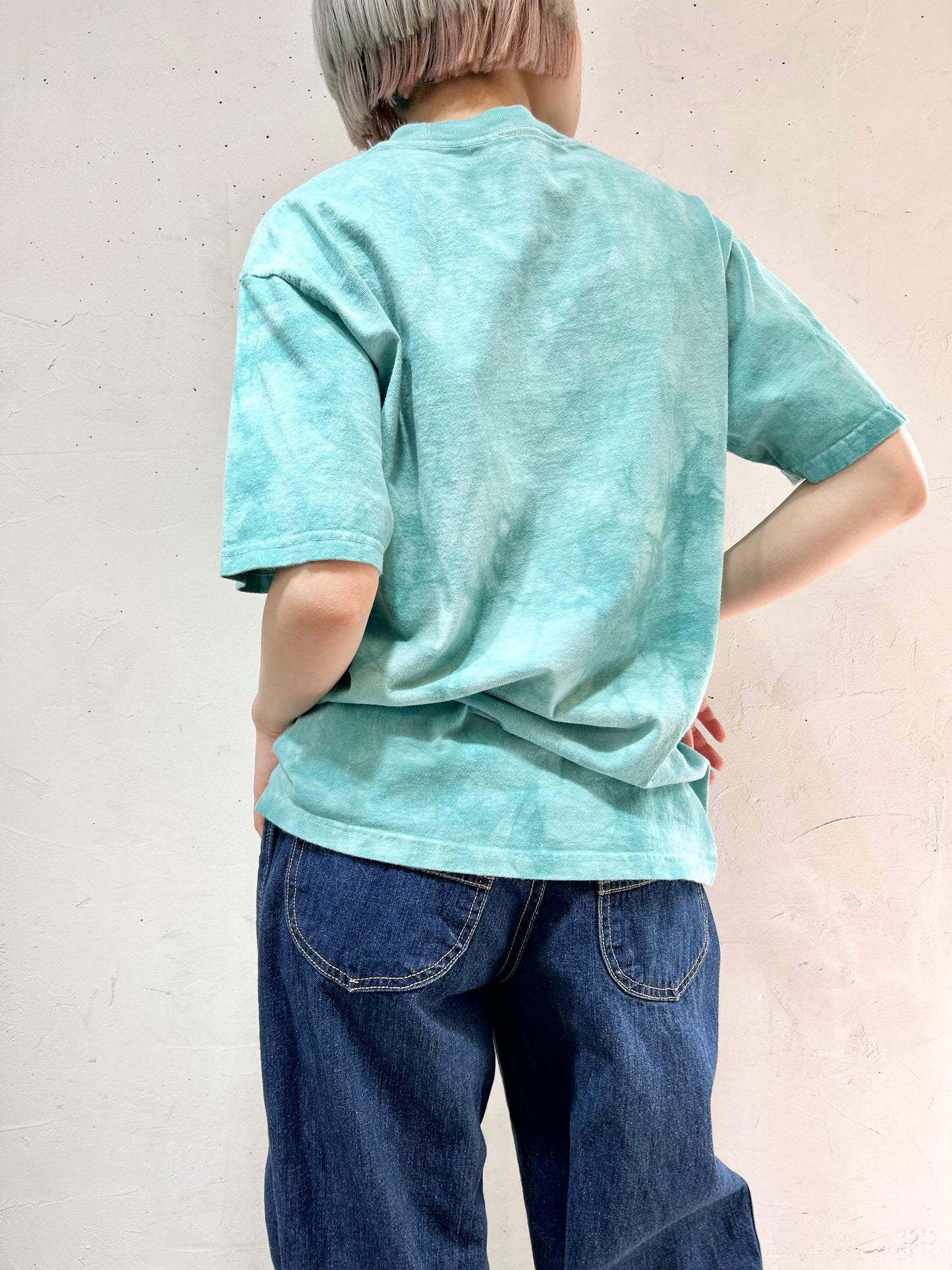 Vintage T-Shirt 〜THE MOUNTAIN〜 [D26724]