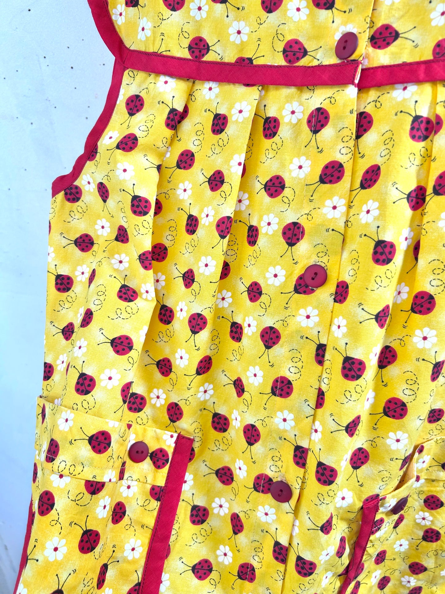 Vintage  Apron [L29112]