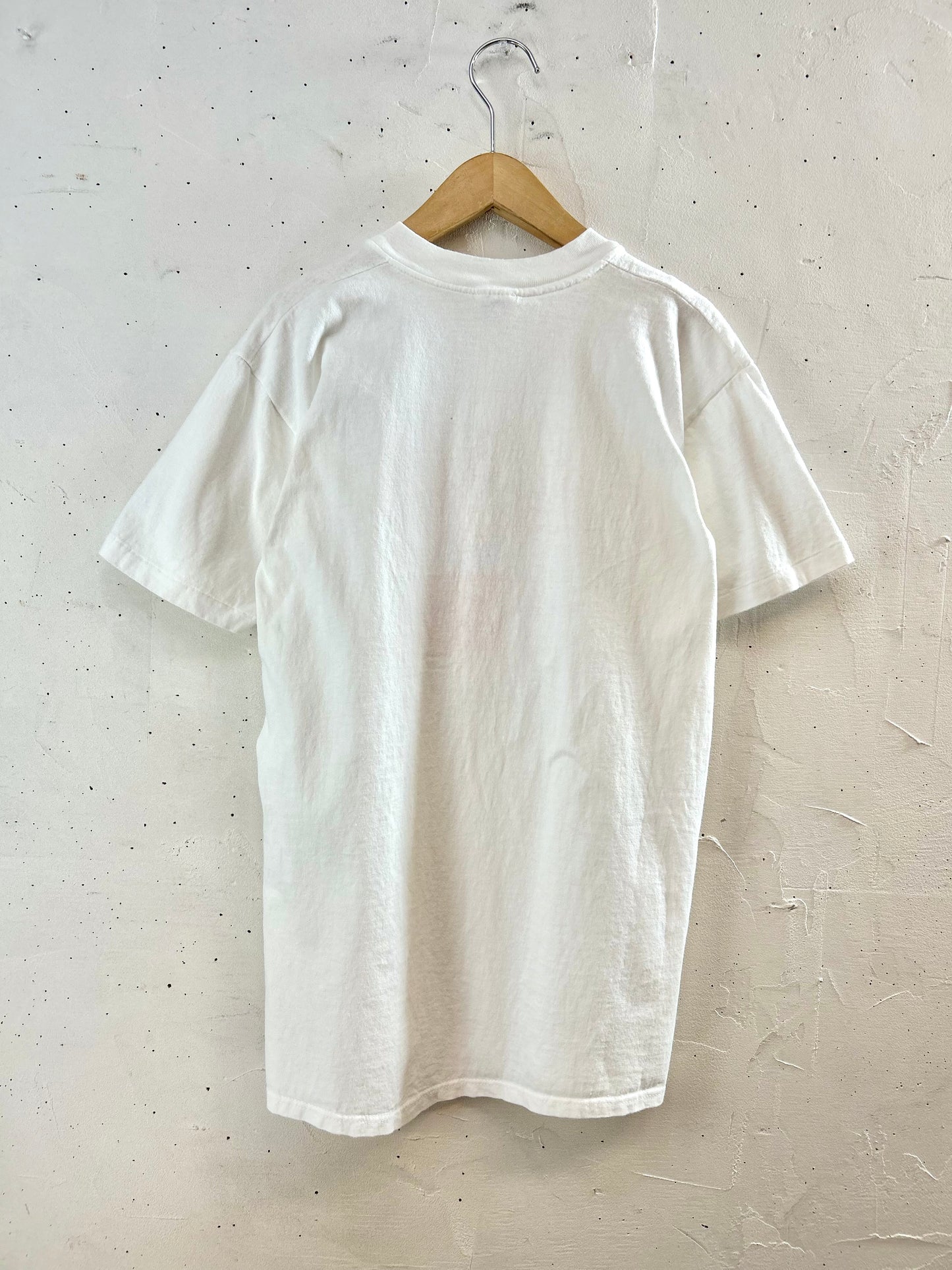 Vintage T-Shirt MADE IN USA 〜Stedman〜 [E30216]