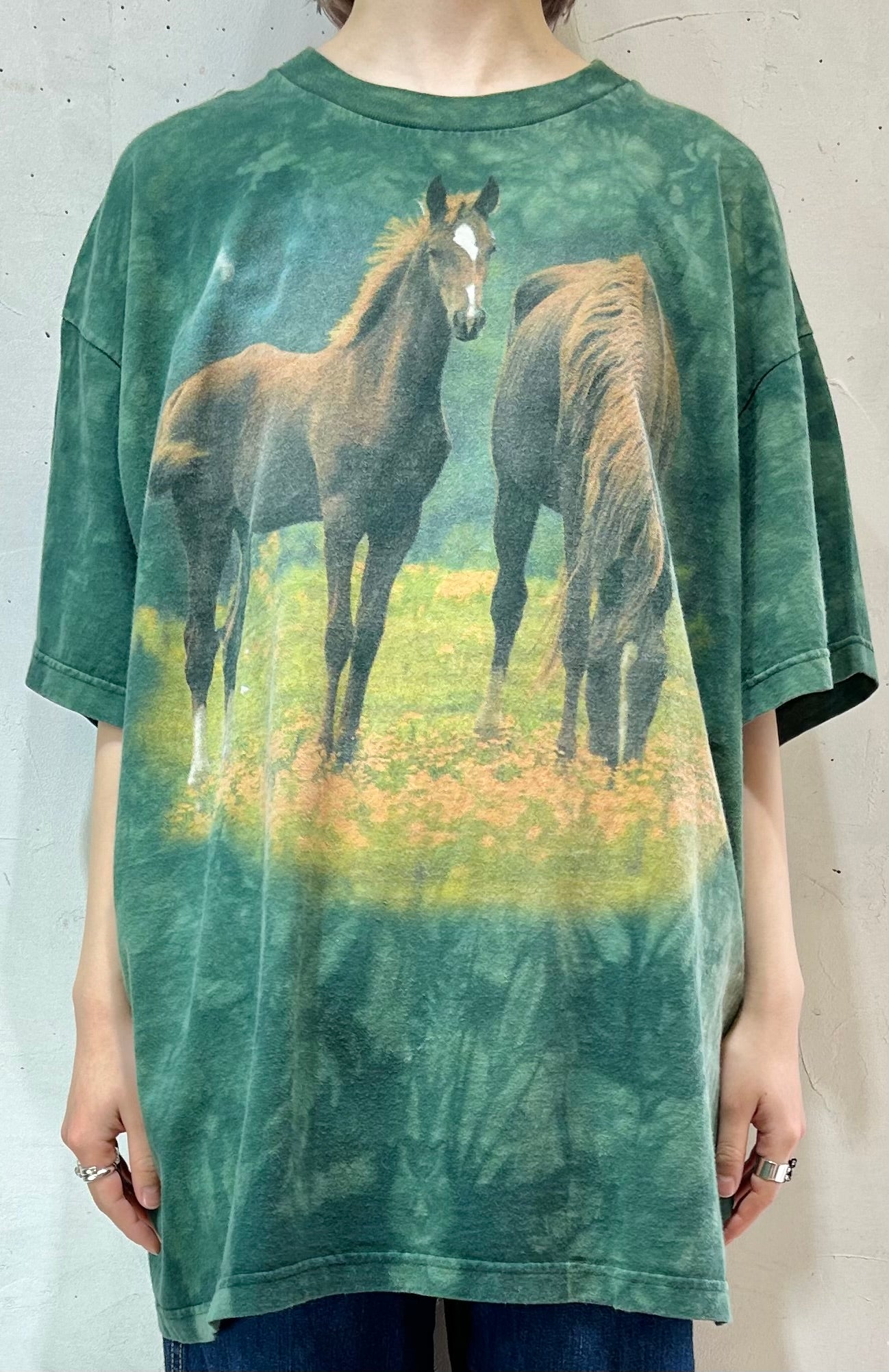 Vintage T-Shirt 〜THE MOUNTAIN〜 [D26728]