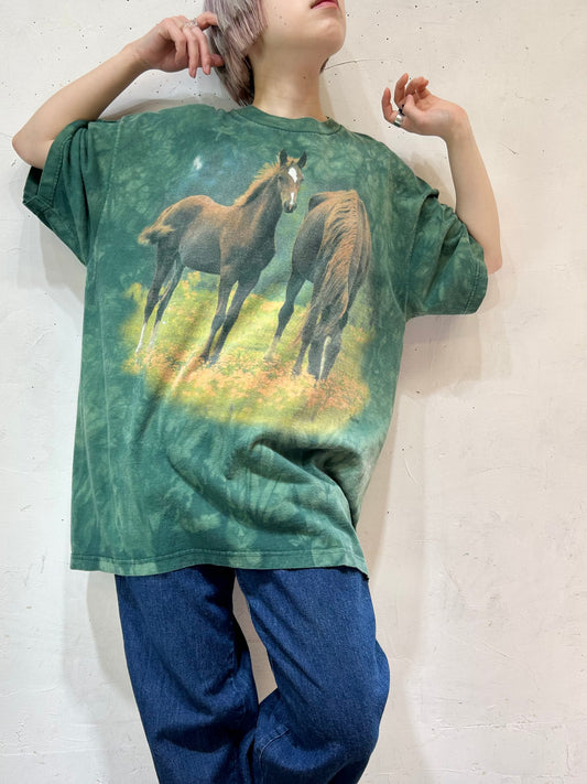 Vintage T-Shirt 〜THE MOUNTAIN〜 [D26728]