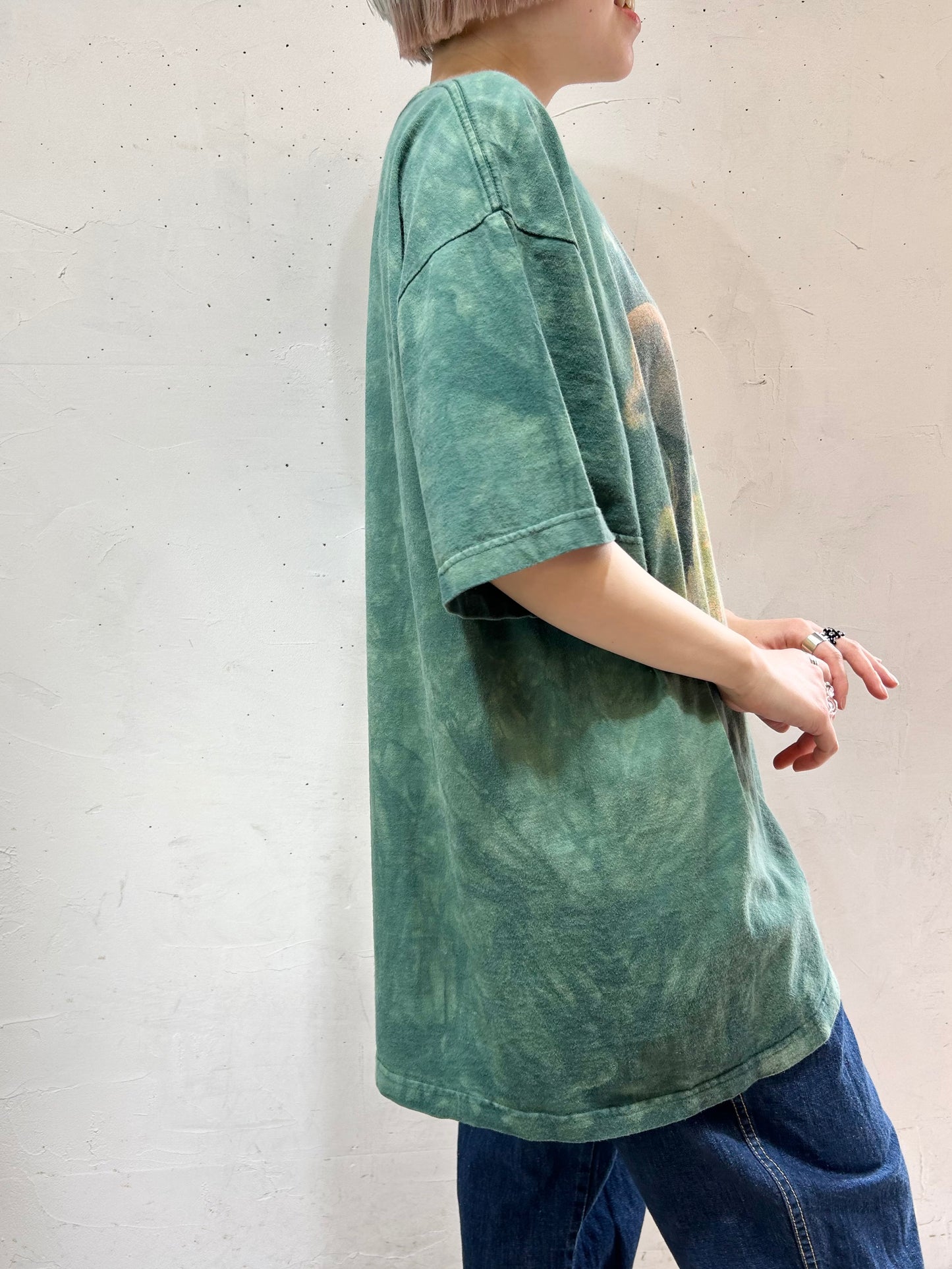 Vintage T-Shirt 〜THE MOUNTAIN〜 [D26728]