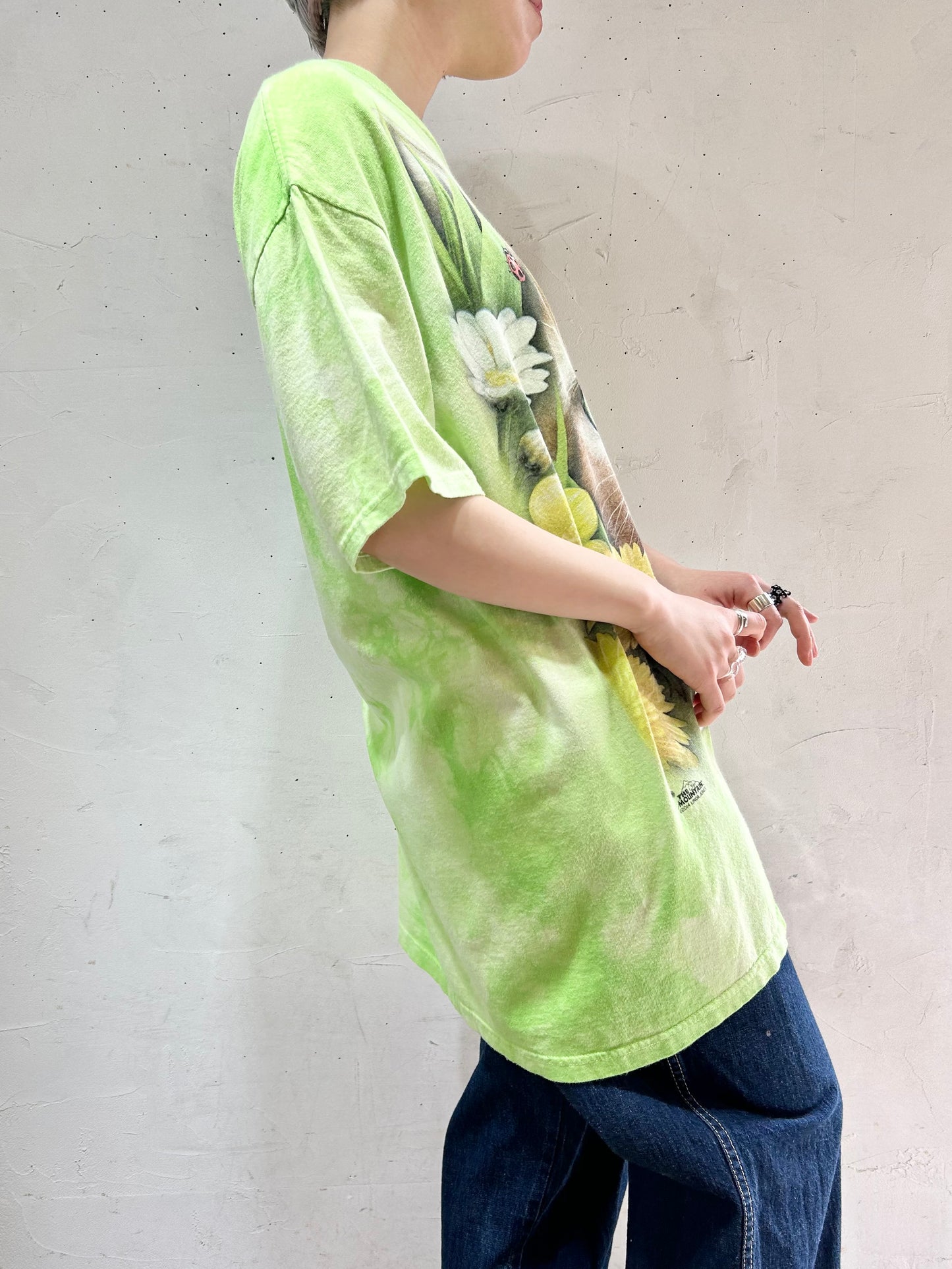 Vintage T-Shirt 〜THE MOUNTAIN〜 [D26727]