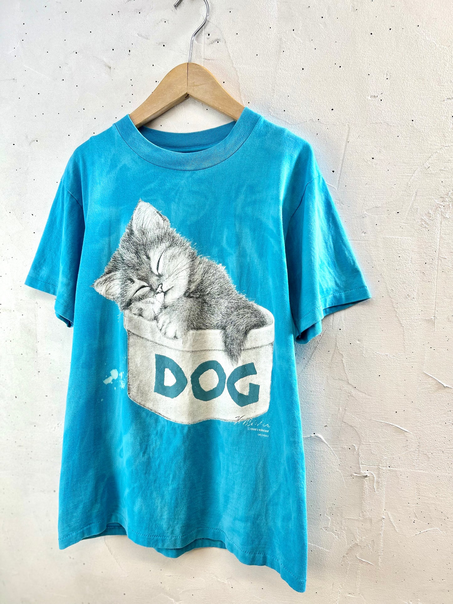 Vintage T-Shirt 〜ONEITA〜  MADE lN USA [E30214]