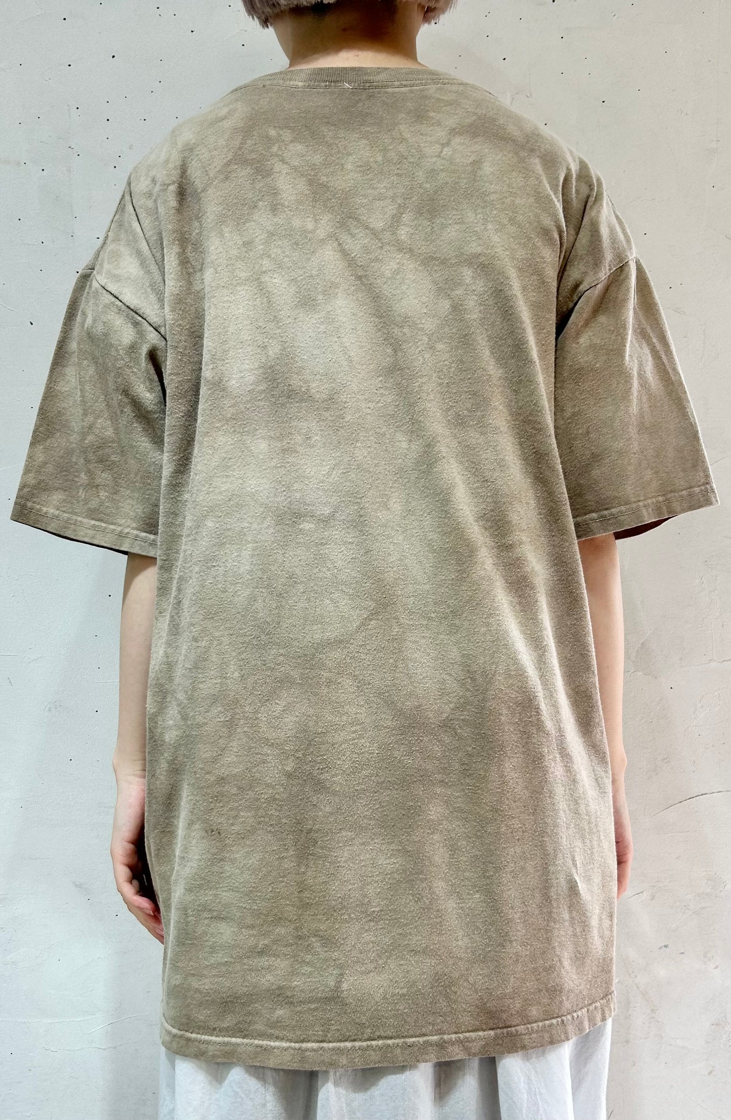 Vintage T-Shirt 〜THE MOUNTAIN〜 [D26726]