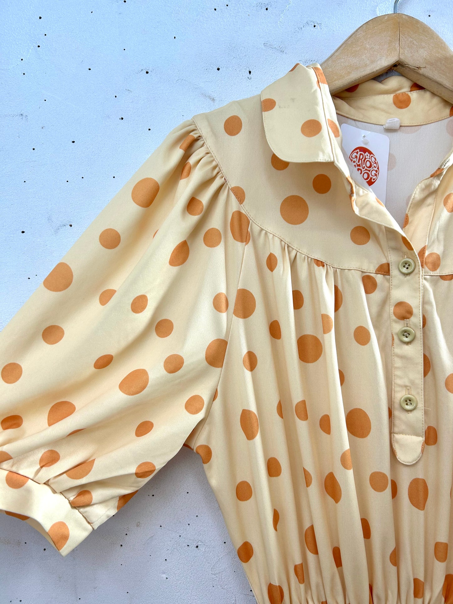 Vintage Dress  [C29773]