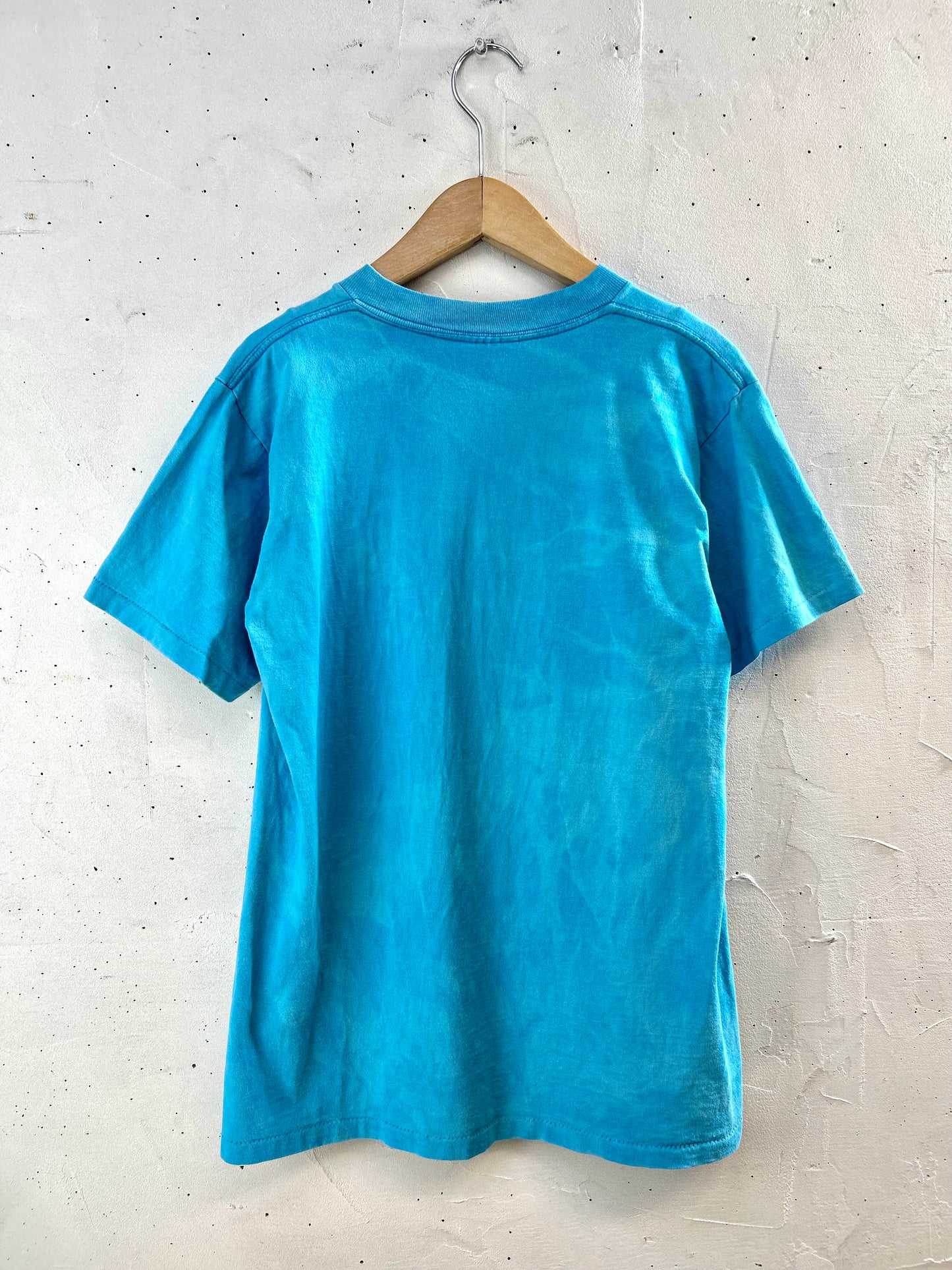Vintage T-Shirt 〜ONEITA〜  MADE lN USA [E30214]