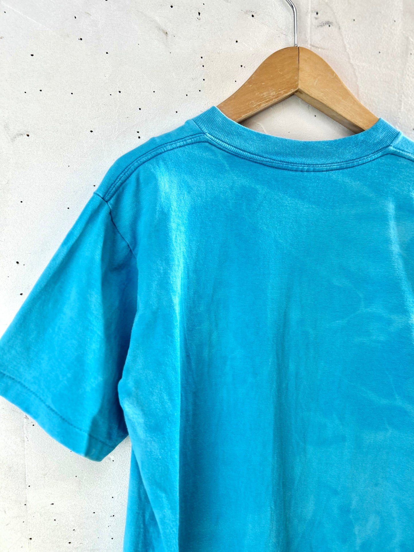 Vintage T-Shirt 〜ONEITA〜  MADE lN USA [E30214]