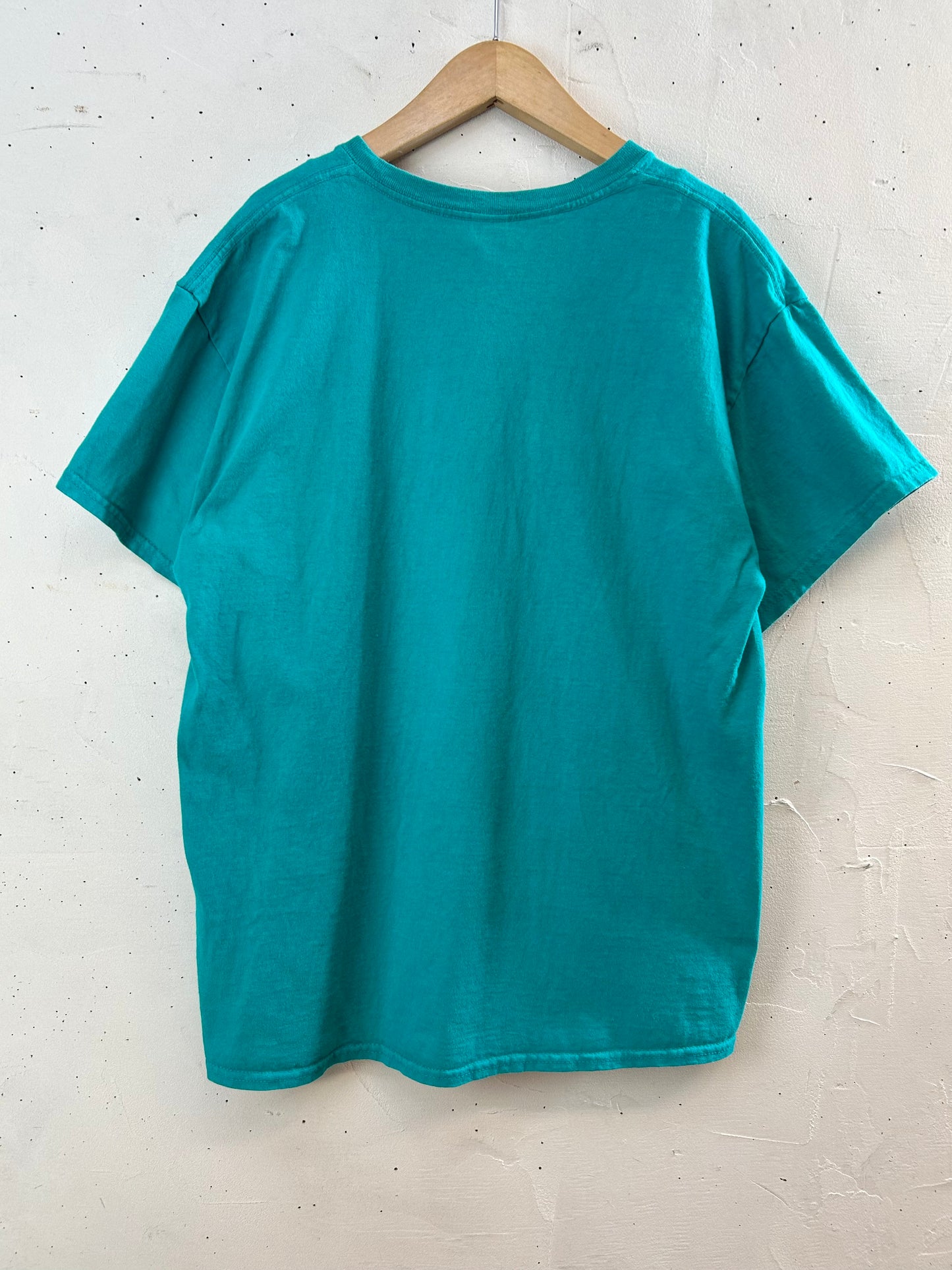 Vintage T-Shirt 〜GILDAN〜 [D29988]