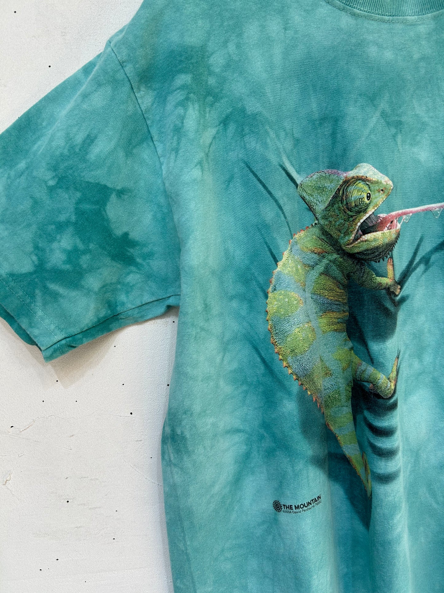 Vintage T-Shirt 〜THE MOUNTAIN〜 [D26724]