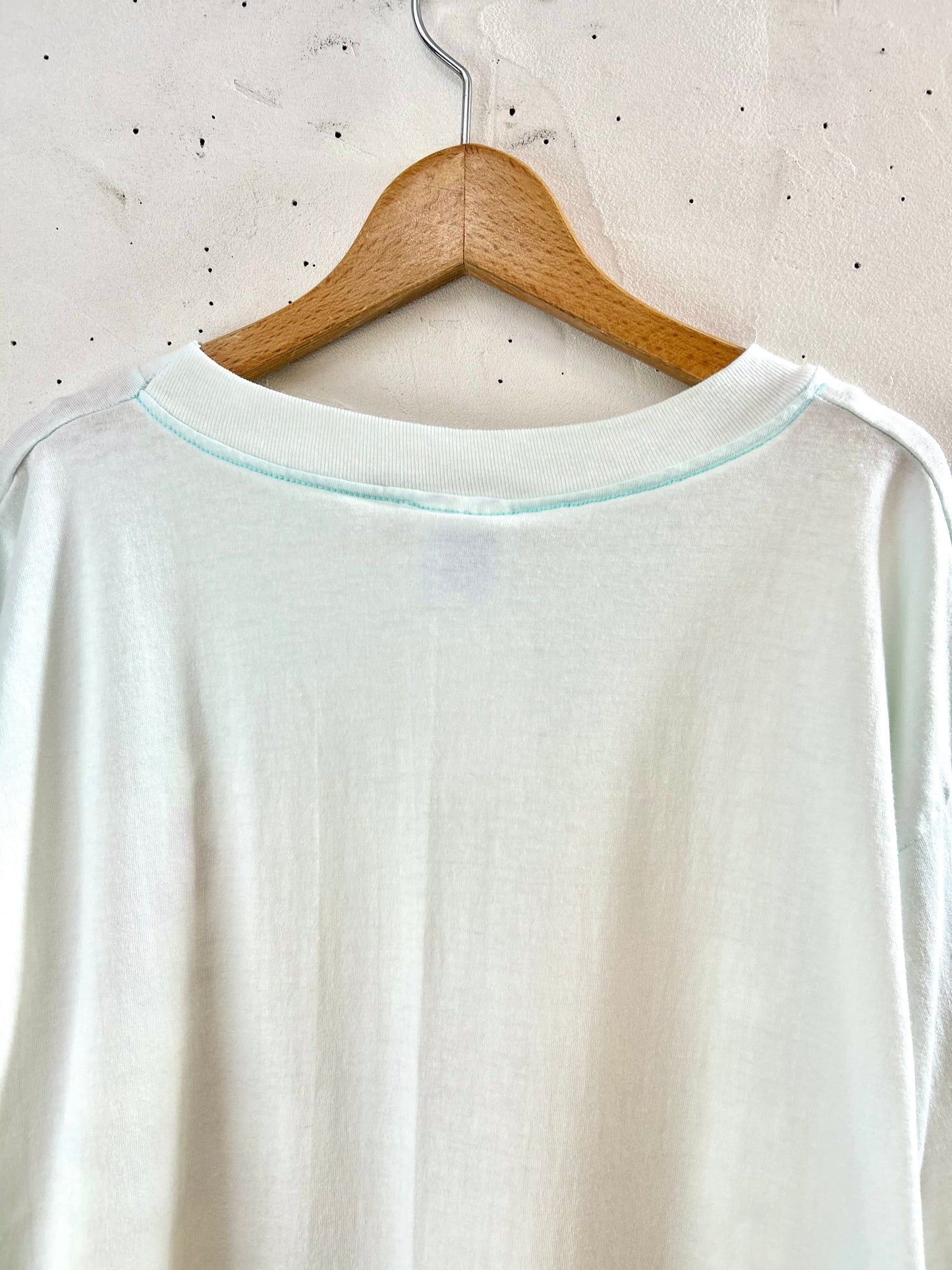 Vintage T-shirt 〜Hanes〜 [F30428]