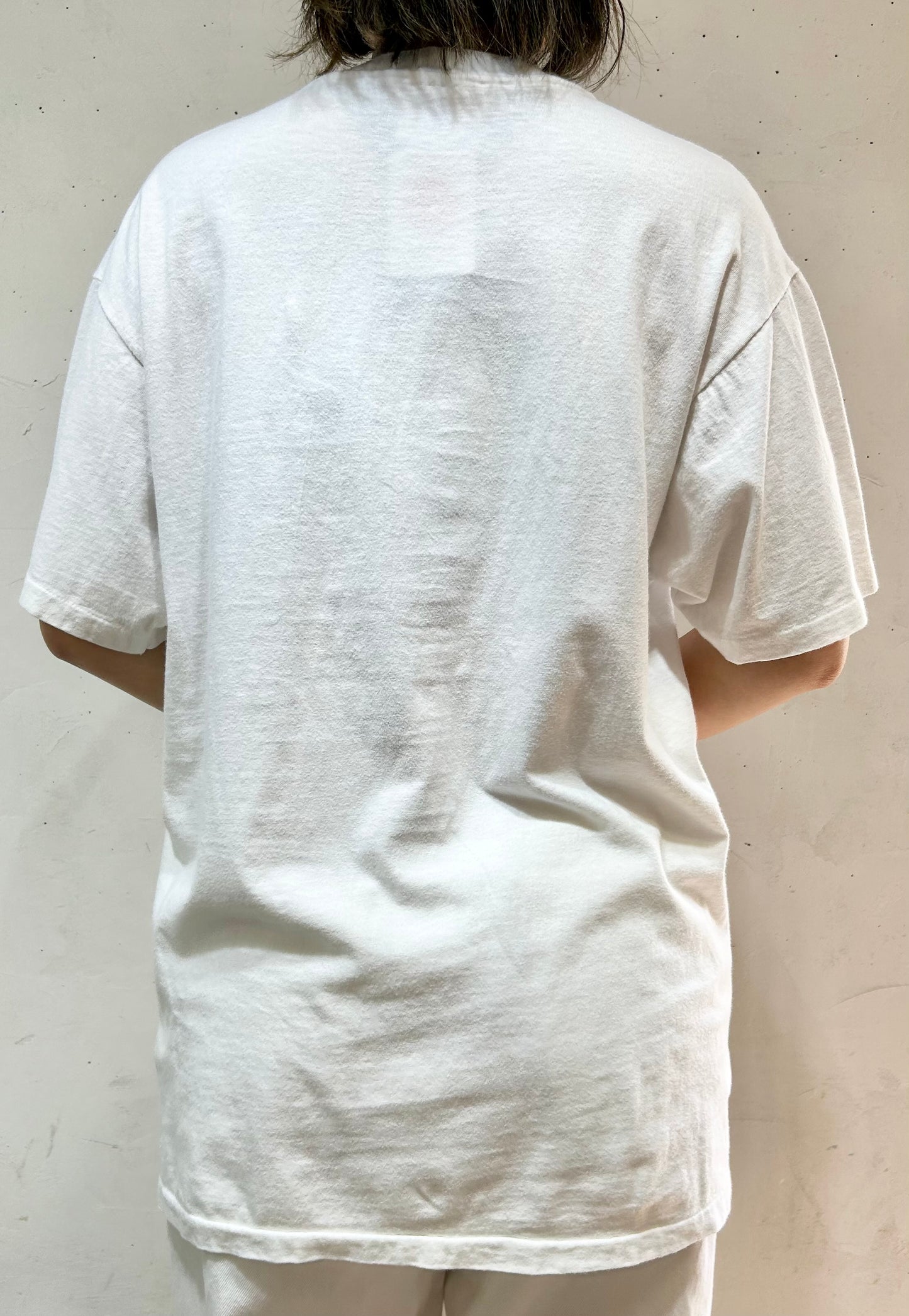 ’90s Vintage T-Shirt 〜Hanes〜 [E27153]