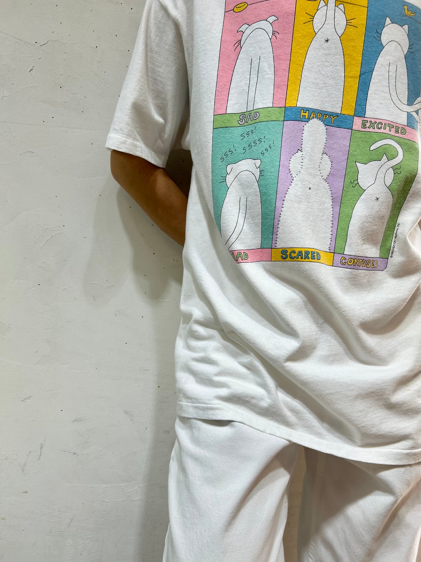 ’90s Vintage T-Shirt 〜Hanes〜 [E27153]