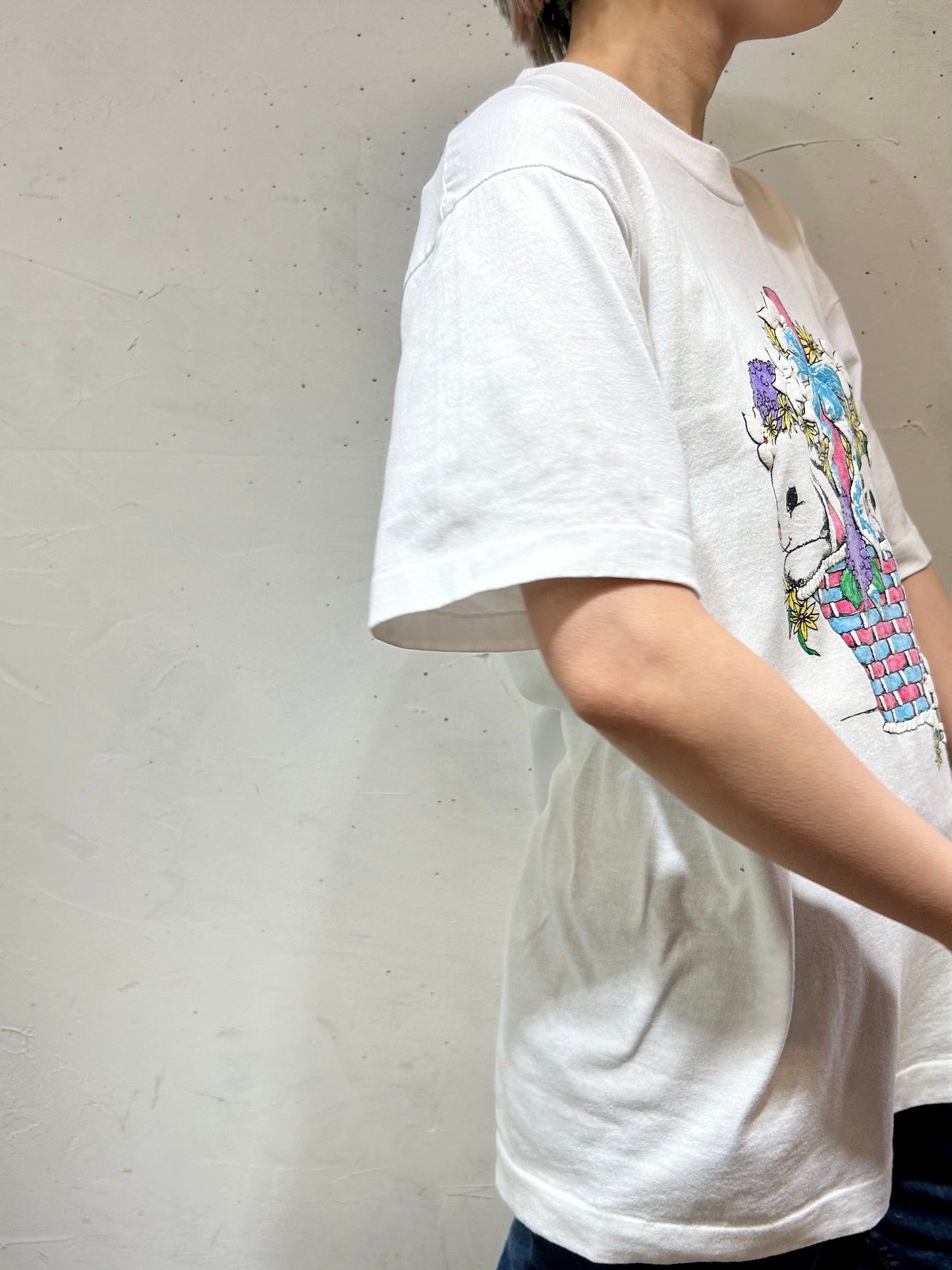 Vintage Cotton T-Shirt 〜SCREEN STARS BEST〜 [D26749]