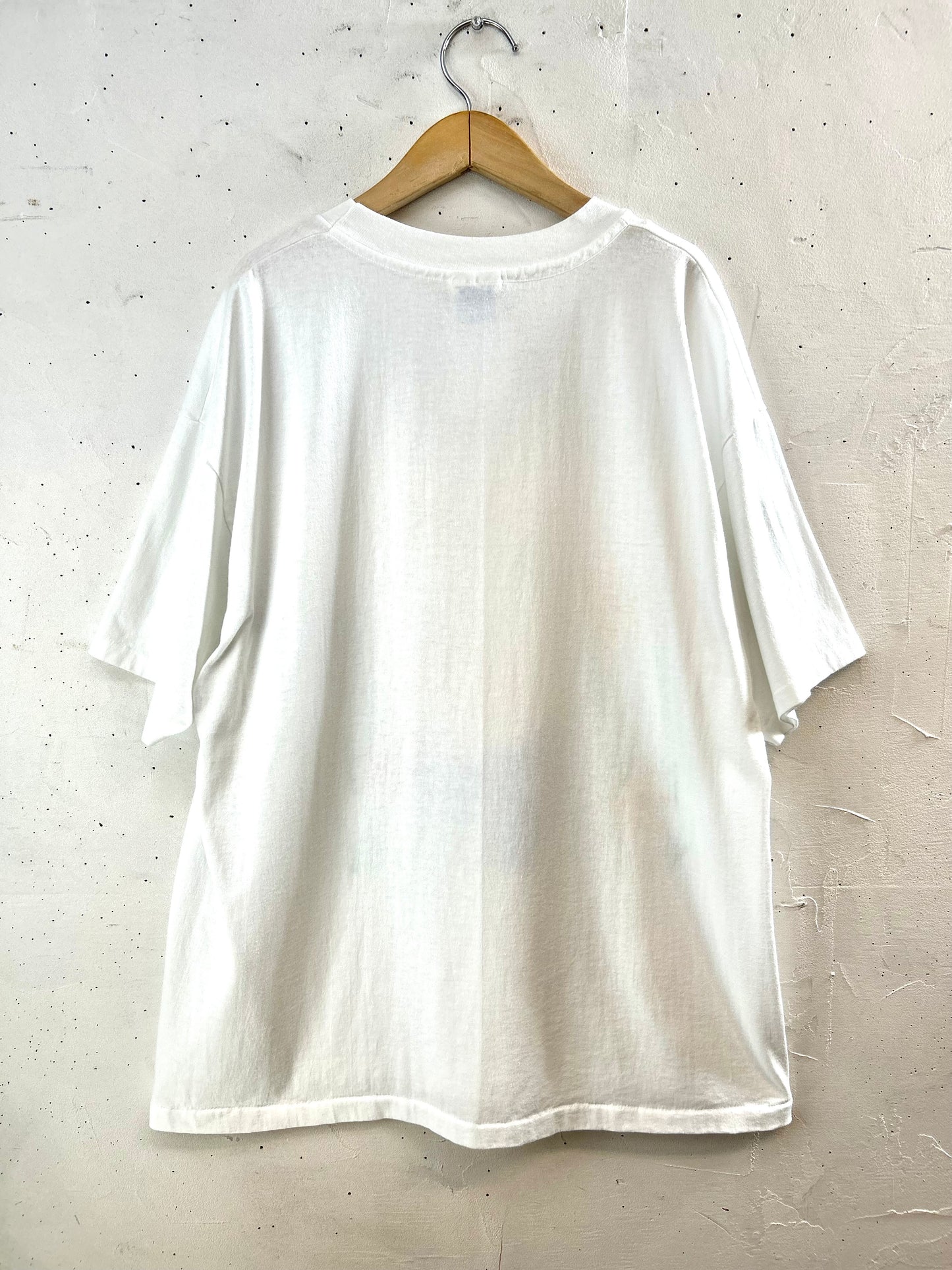 Vintage T-shirt 〜Hanes〜 [F30425]