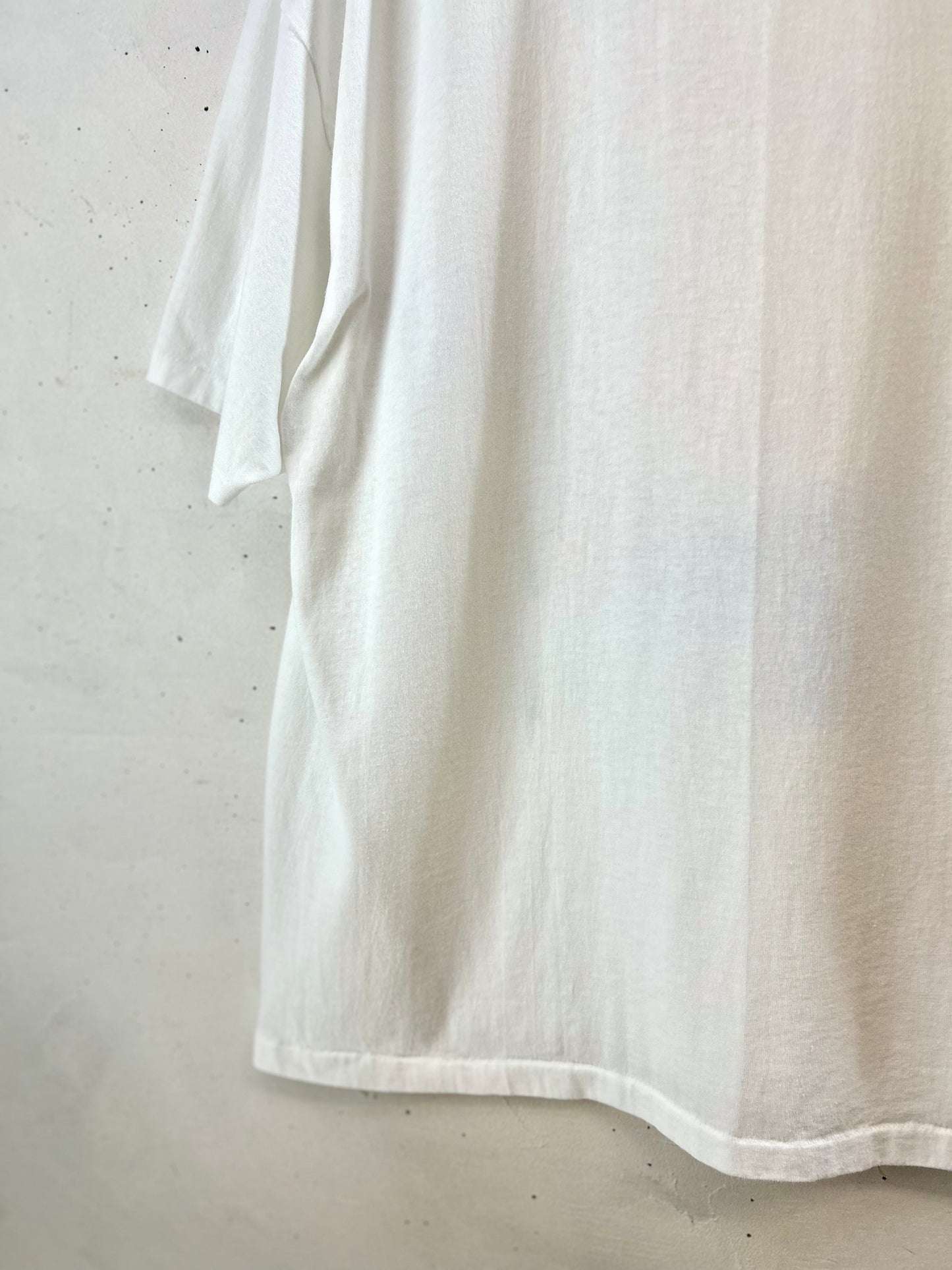 Vintage T-shirt 〜Hanes〜 [F30425]