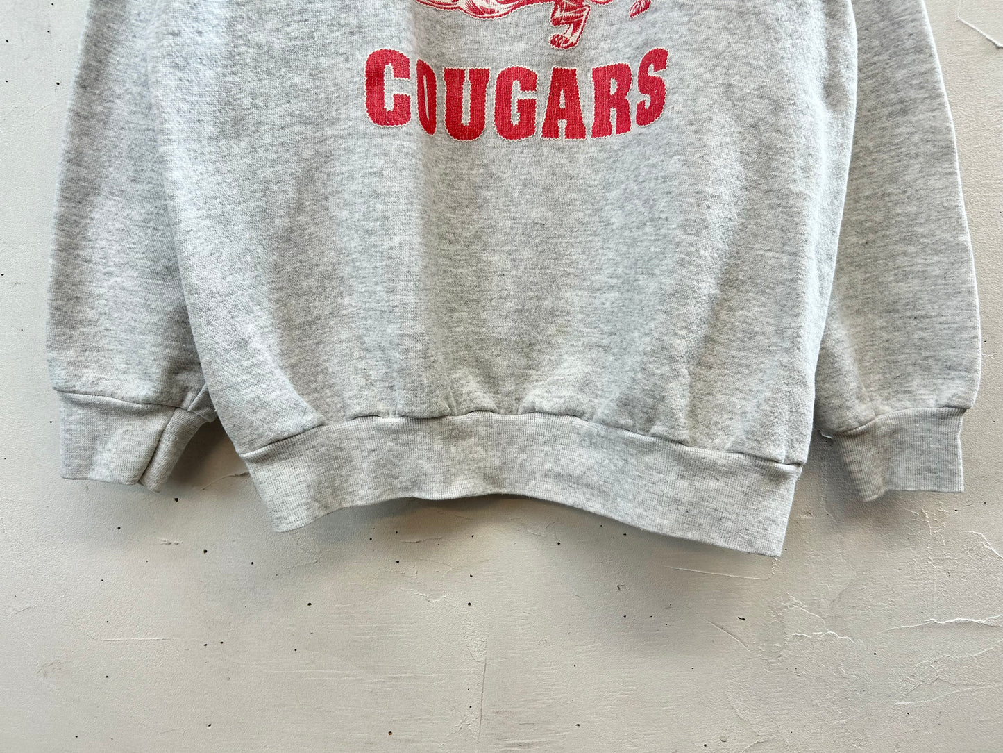 Vintage College Sweat MADE IN USA [I28488]