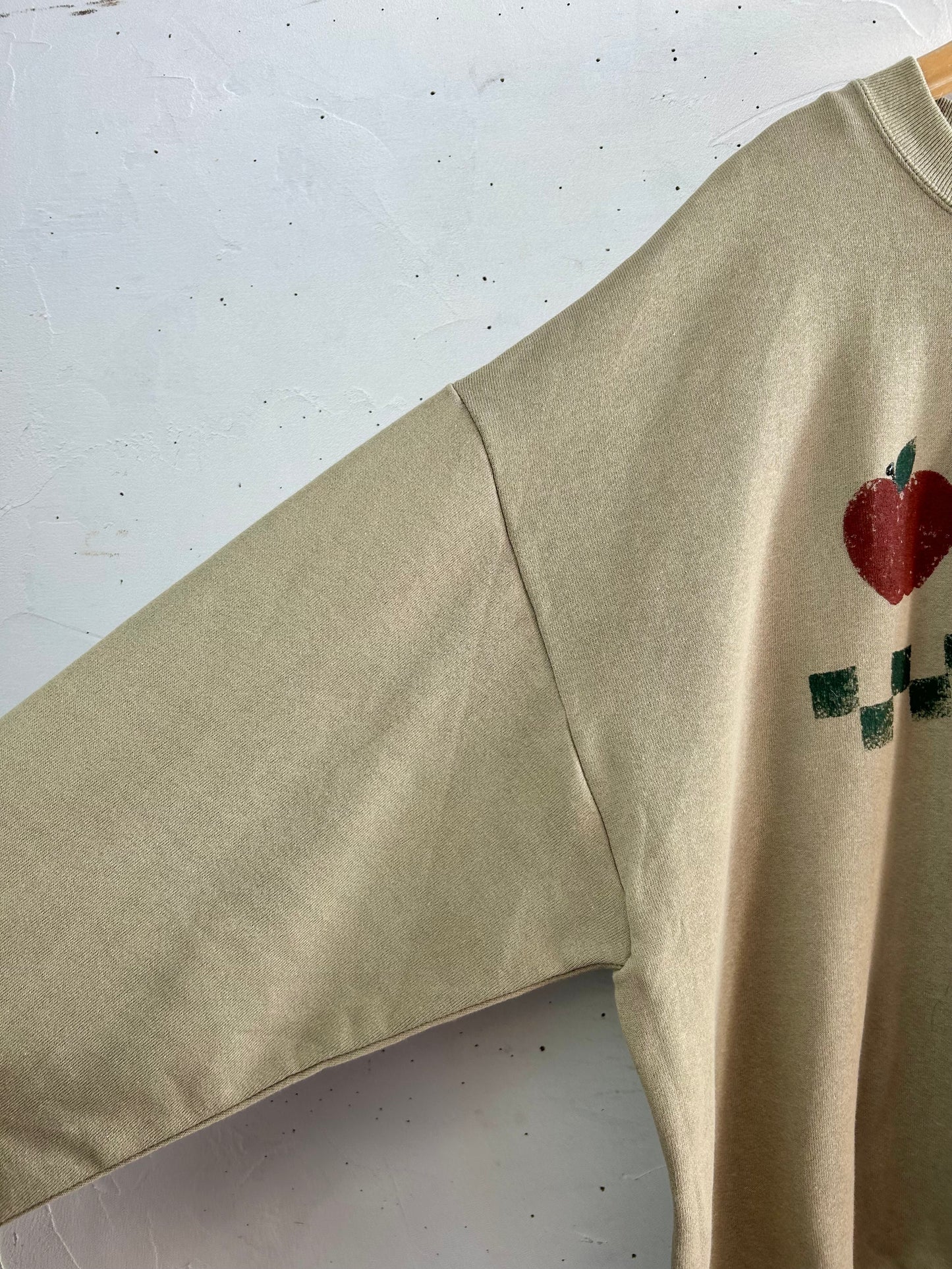 Vintage Hand Painted Sweat 〜JERZEES〜 [B29601]