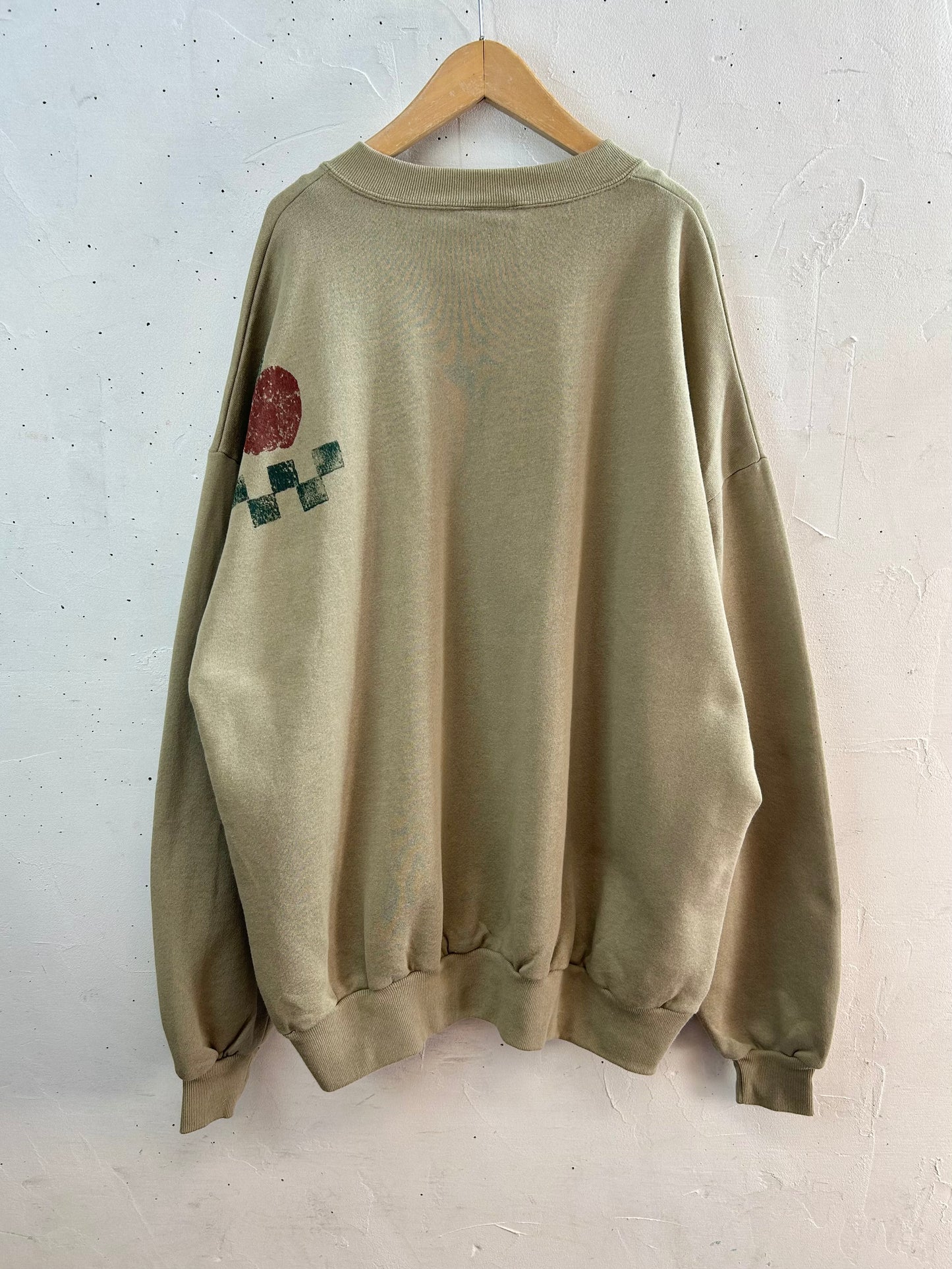Vintage Hand Painted Sweat 〜JERZEES〜 [B29601]