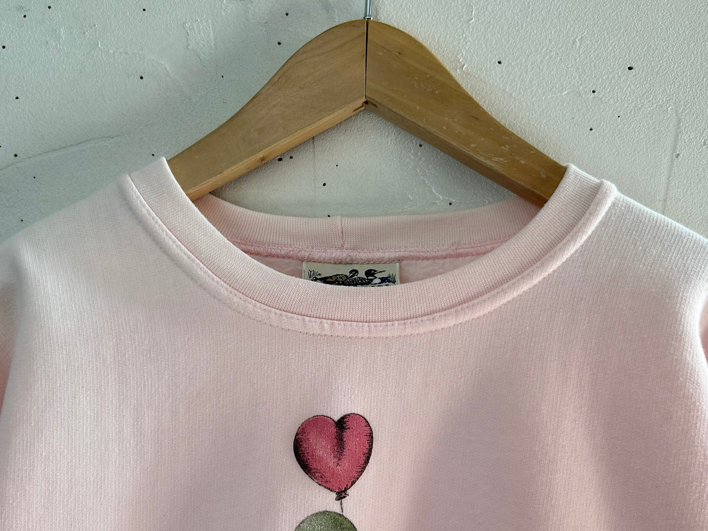 Vintage Sweat 〜NORTHERN REFLECTIONS〜 [B29604]
