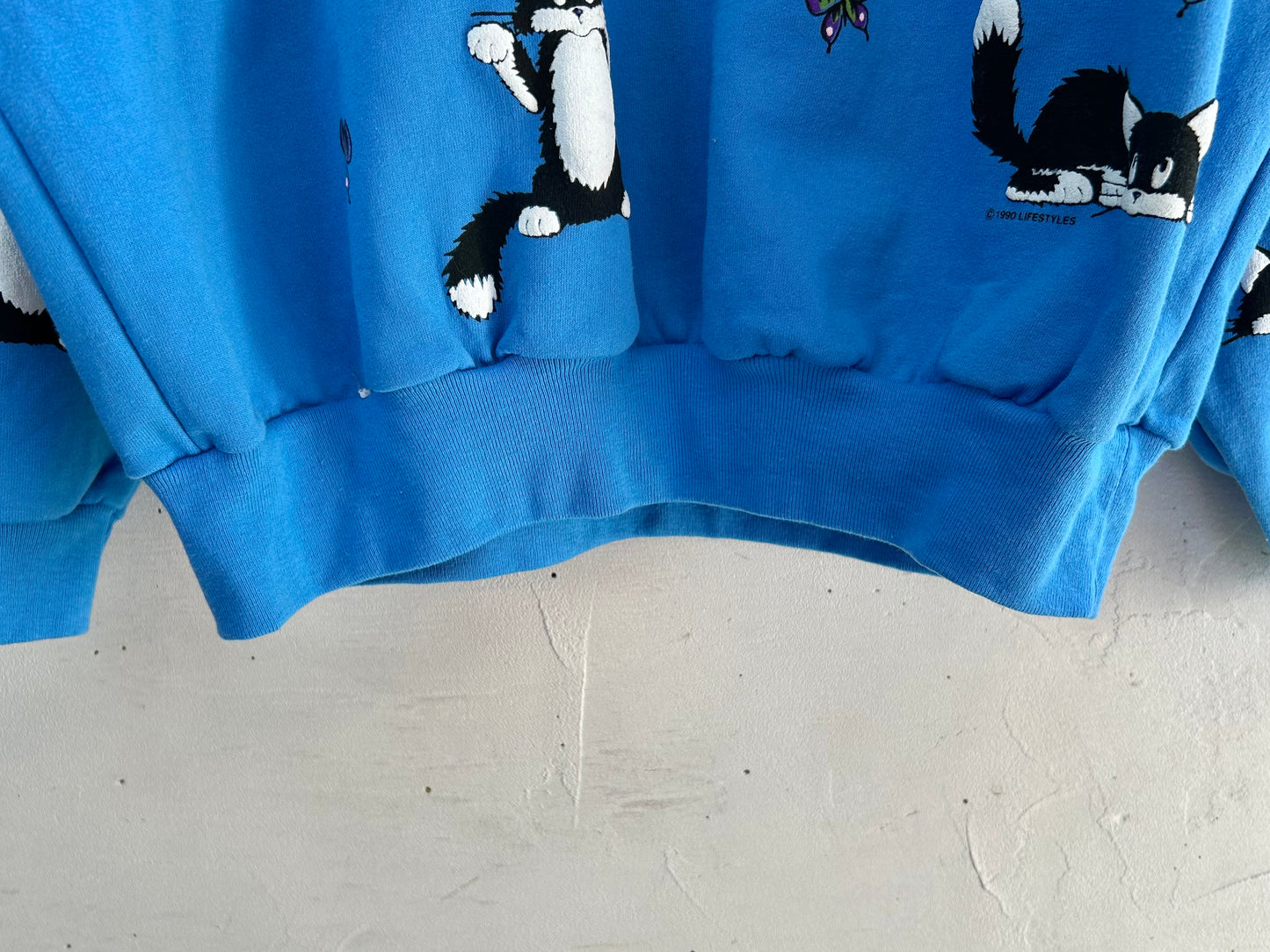 '90s Vintage Full Foam Printed Sweat MADE IN USA [B29606]