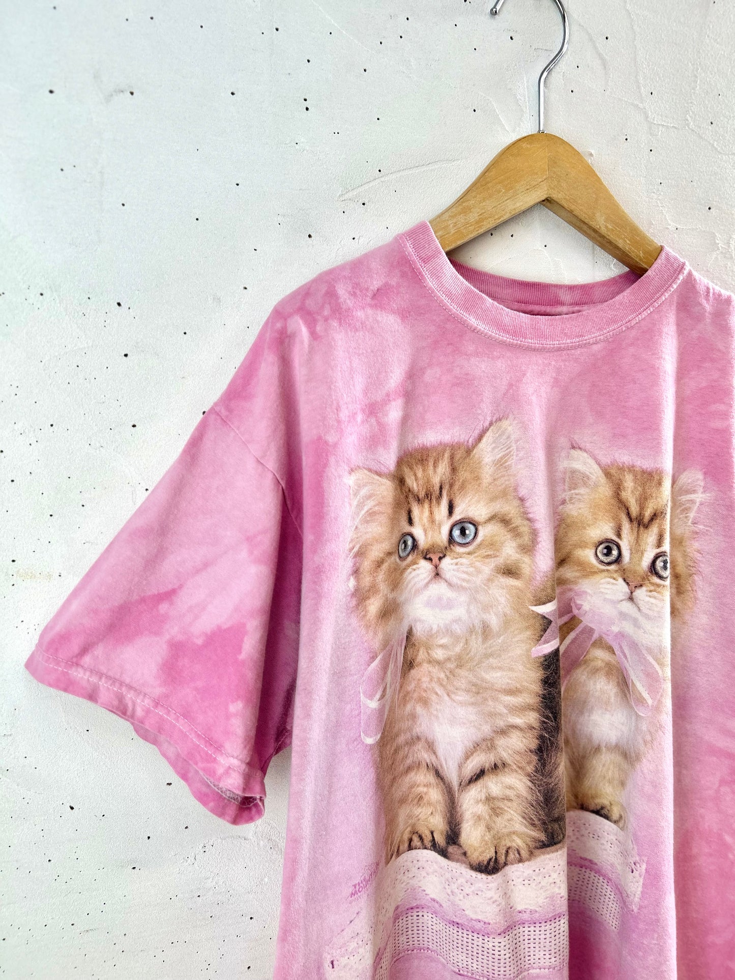 Vintage T-Shirt 〜THE MOUNTAIN〜 [G30683]