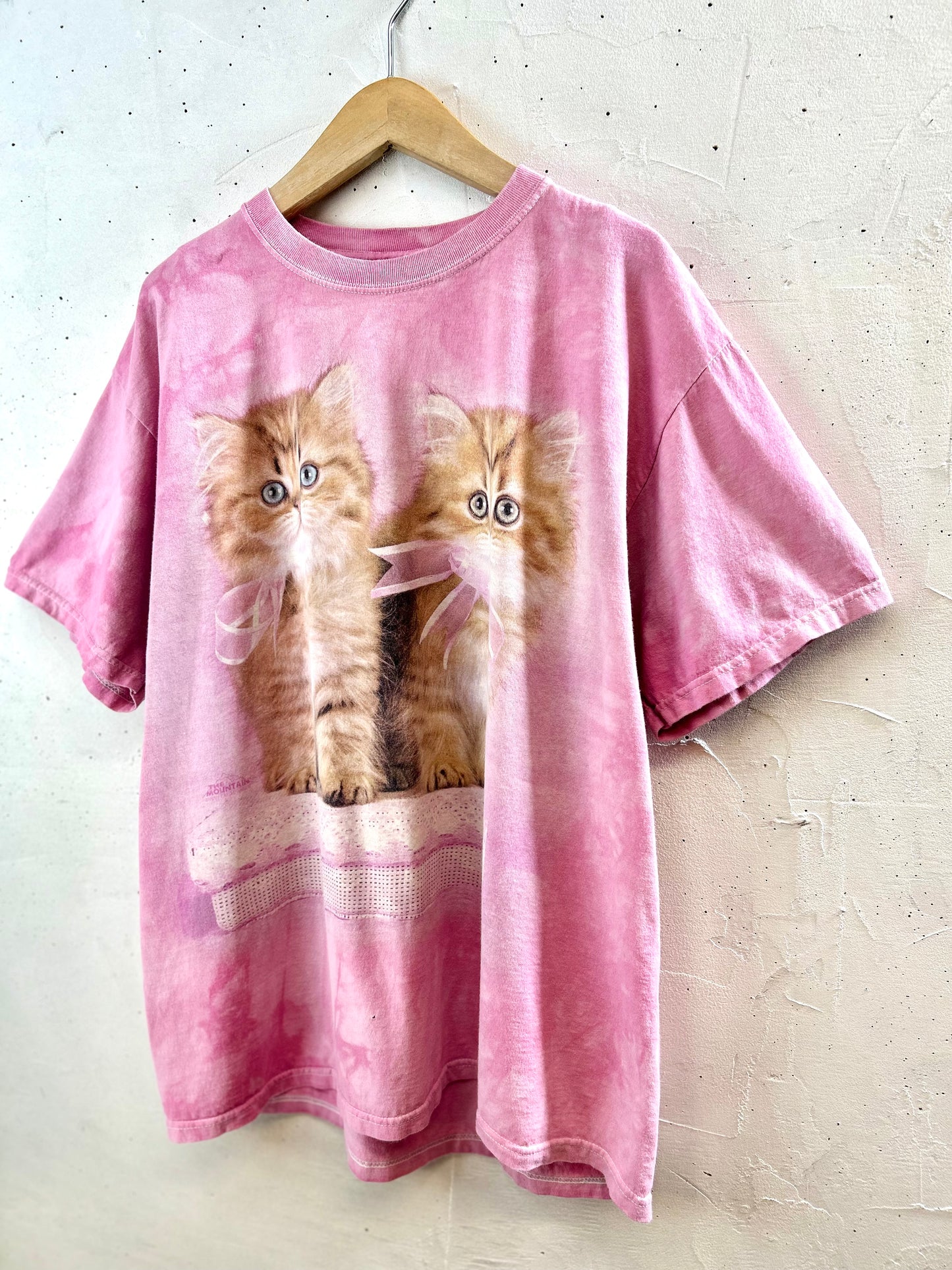 Vintage T-Shirt 〜THE MOUNTAIN〜 [G30683]