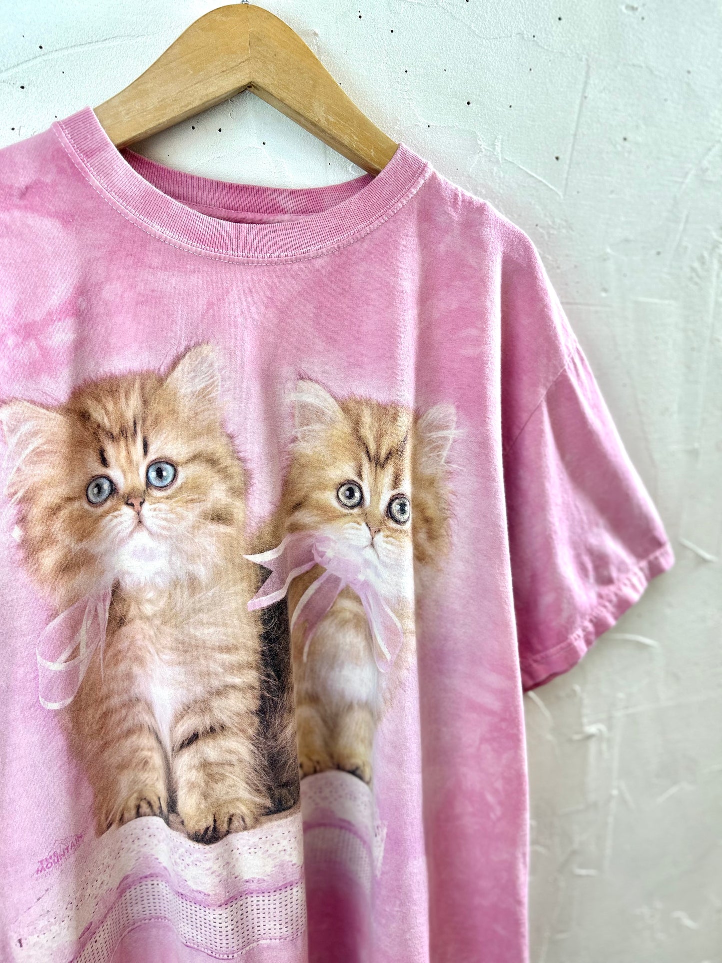 Vintage T-Shirt 〜THE MOUNTAIN〜 [G30683]