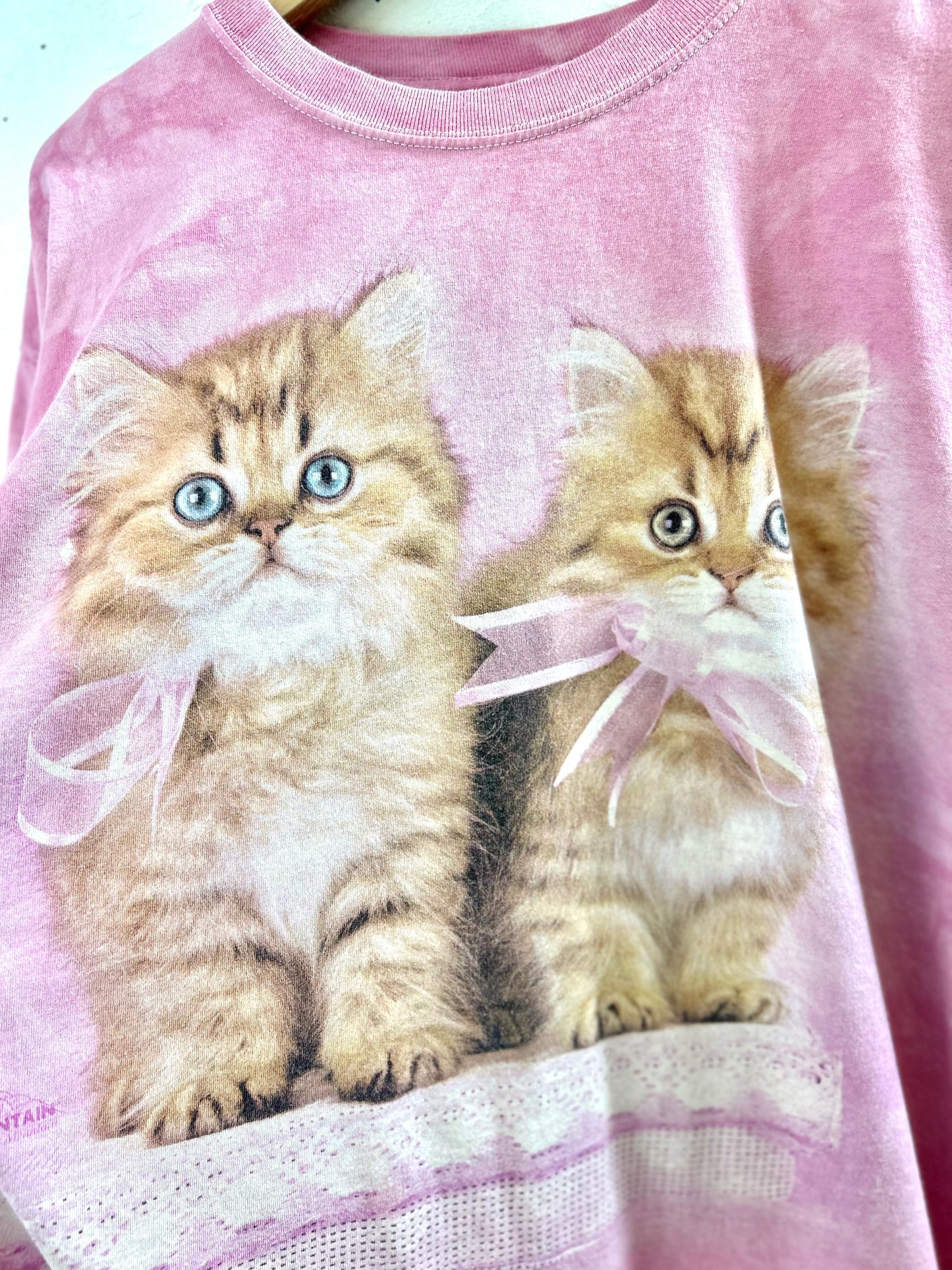 Vintage T-Shirt 〜THE MOUNTAIN〜 [G30683]