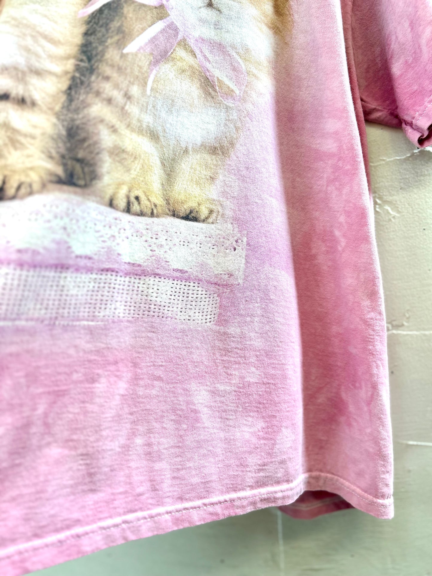 Vintage T-Shirt 〜THE MOUNTAIN〜 [G30683]