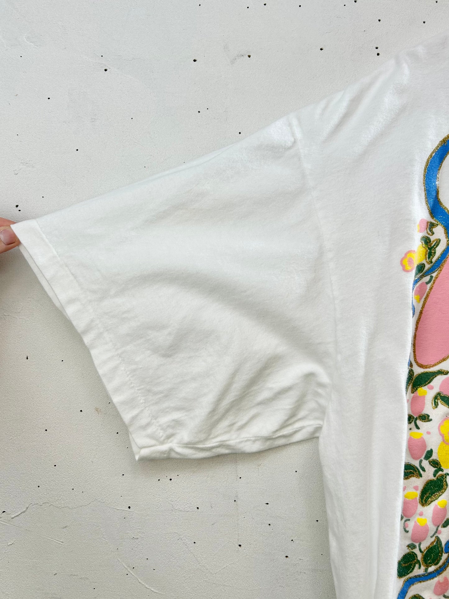 '90s Vintage Hand Painted T-Shirt 〜ONEITA〜 [D30044]