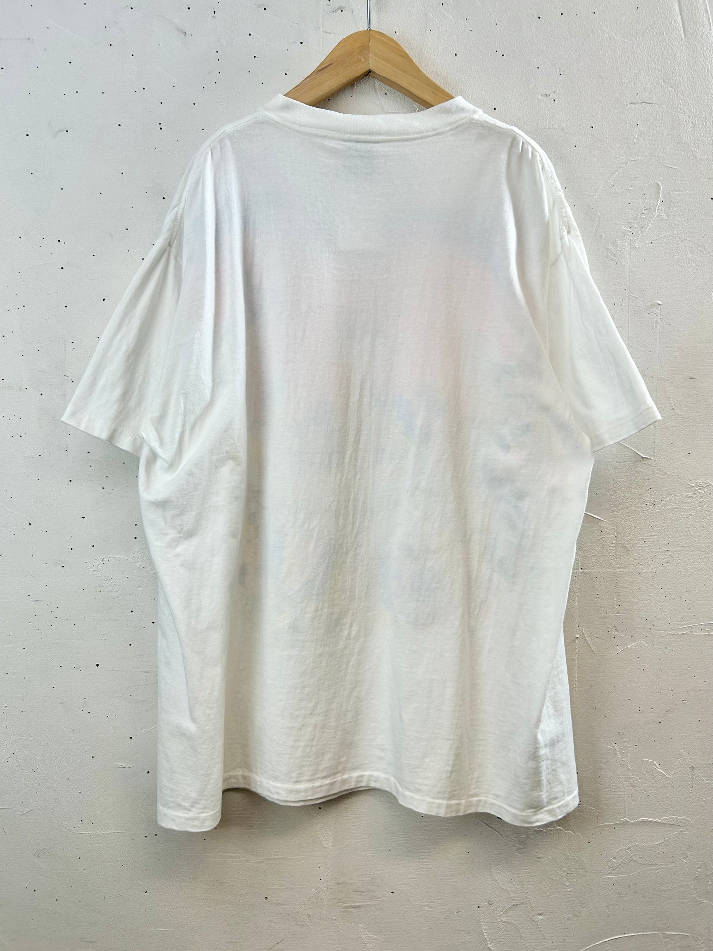 '90s Vintage Hand Painted T-Shirt 〜ONEITA〜 [D30044]