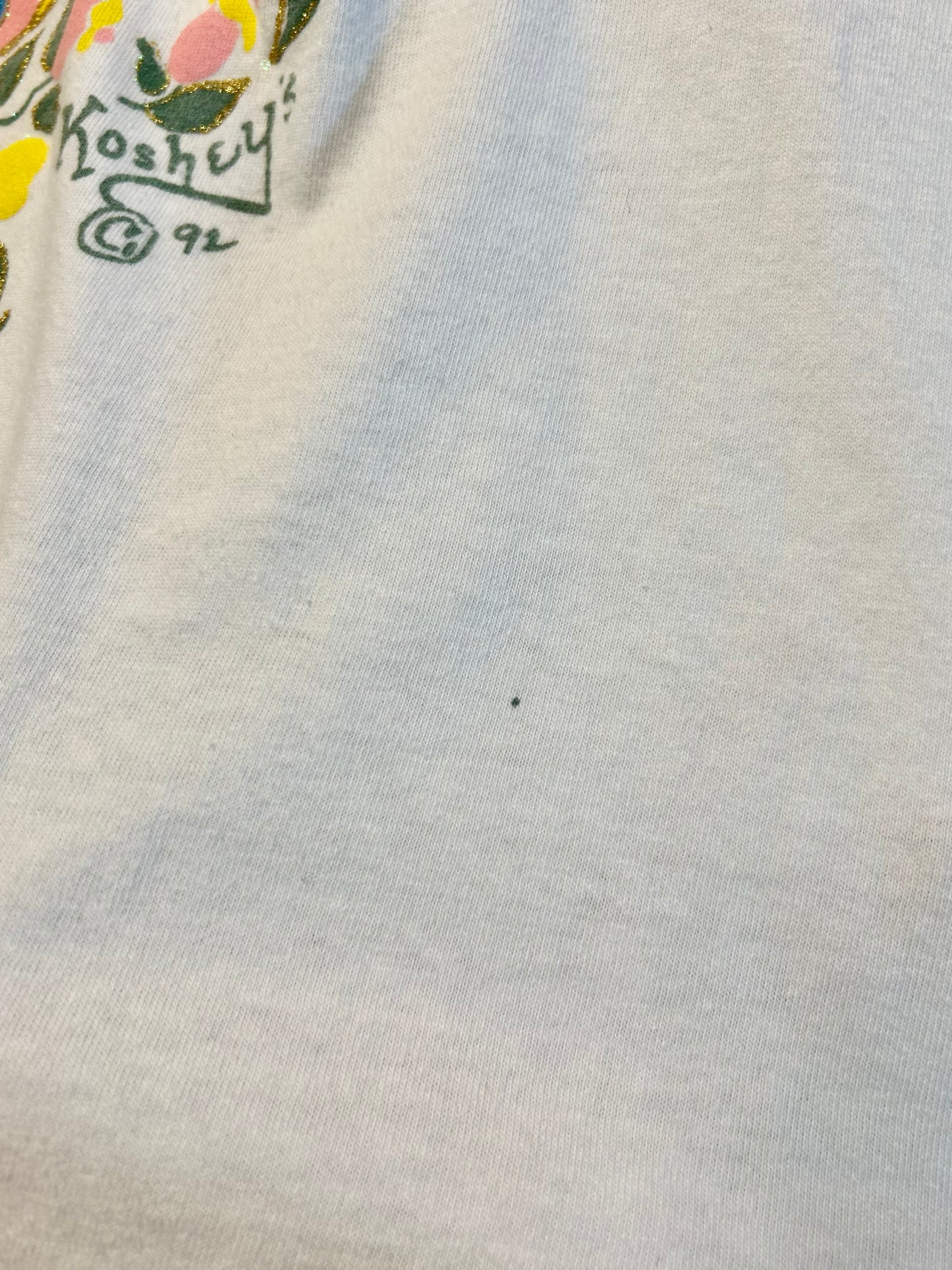'90s Vintage Hand Painted T-Shirt 〜ONEITA〜 [D30044]