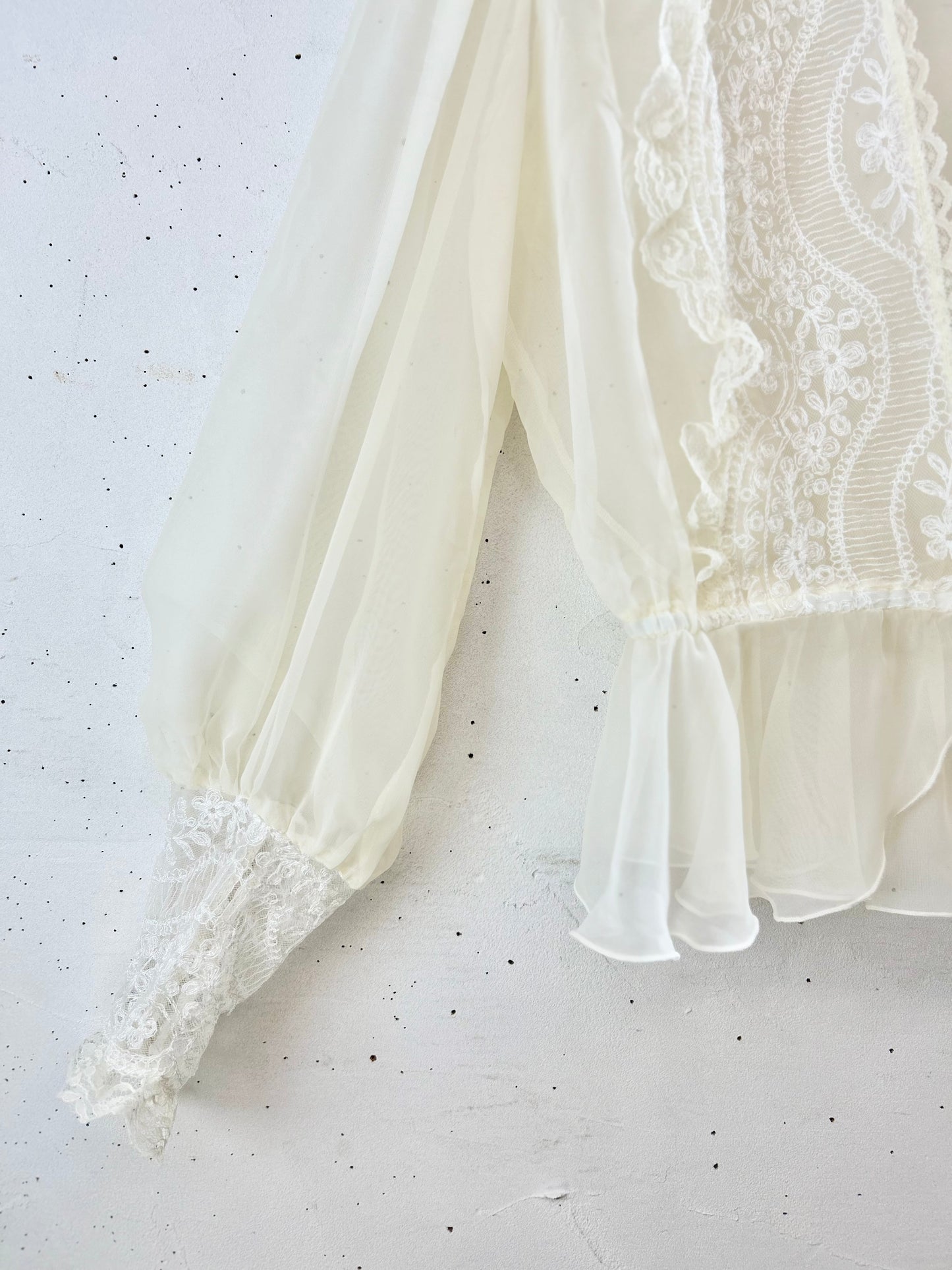 Vintage Sheer Blouse [F30480]