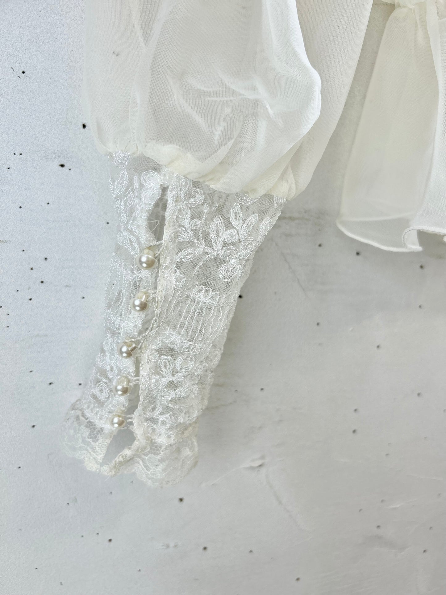 Vintage Sheer Blouse [F30480]