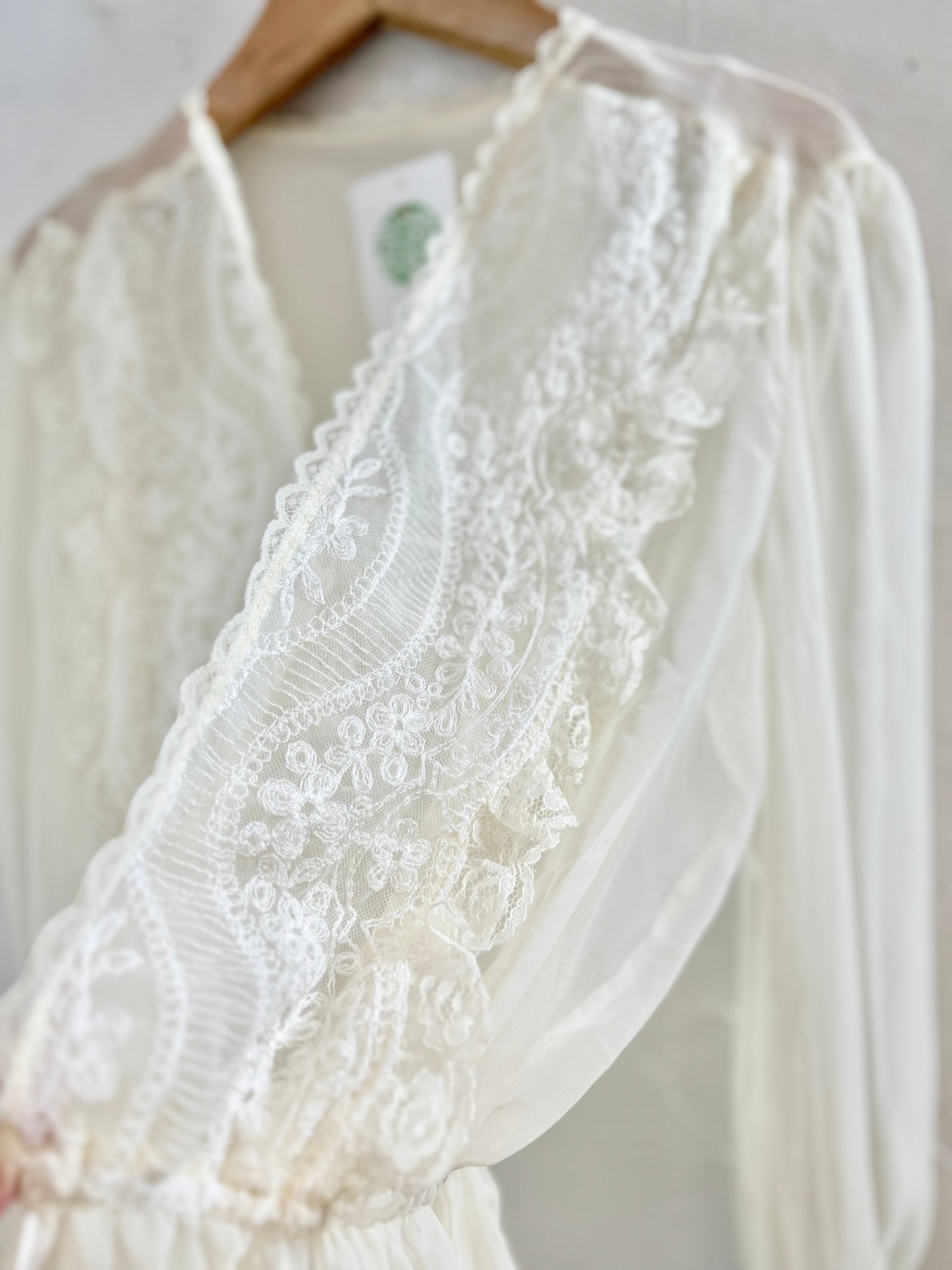 Vintage Sheer Blouse [F30480]
