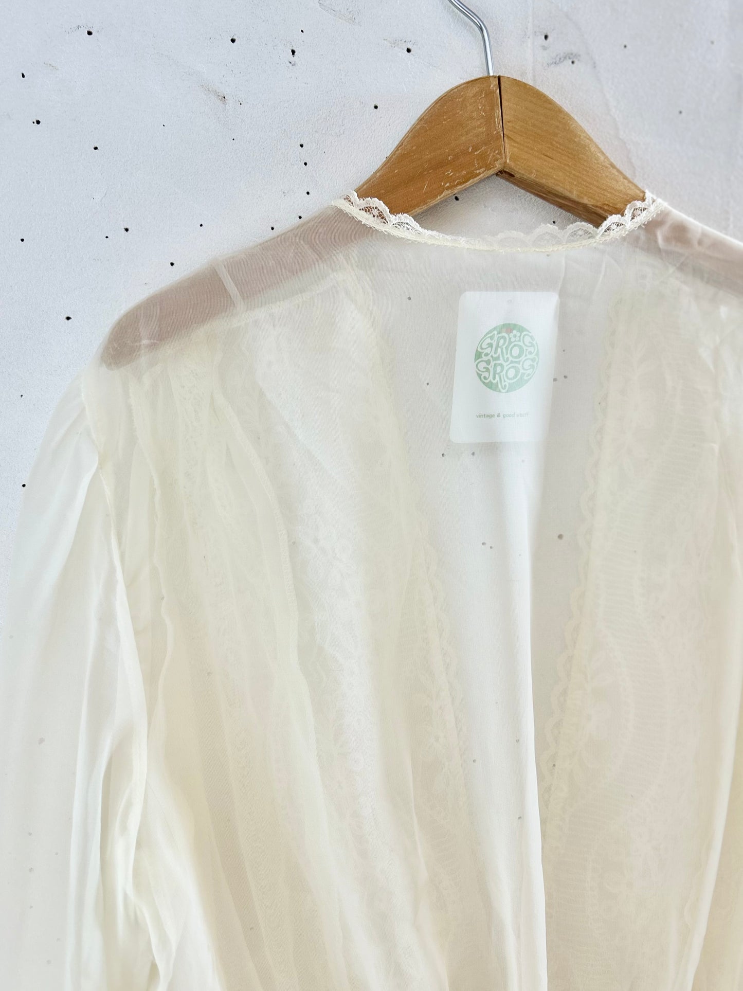 Vintage Sheer Blouse [F30480]