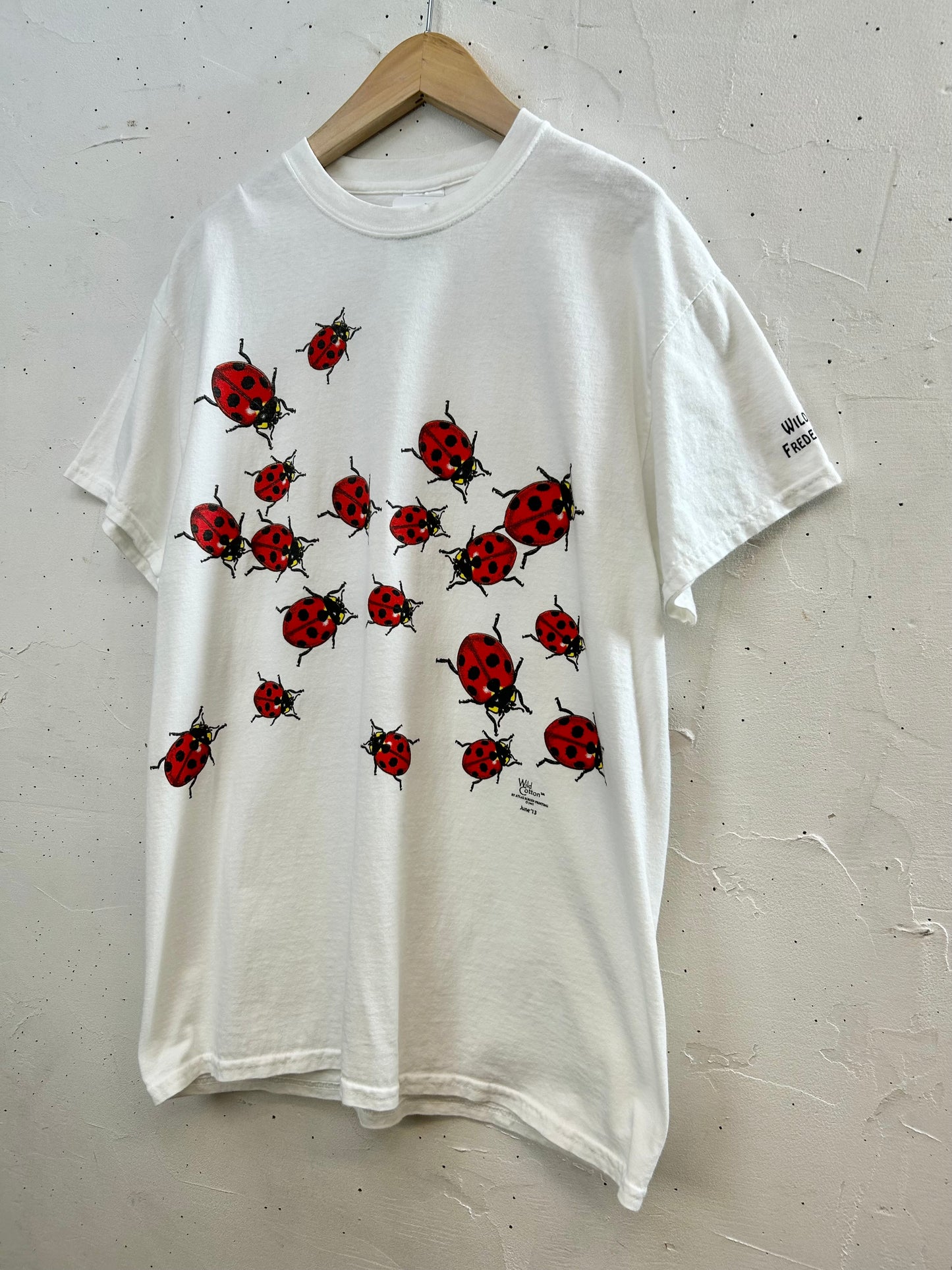 '90s Vintage T-Shirt 〜GILDAN〜 [D30067]