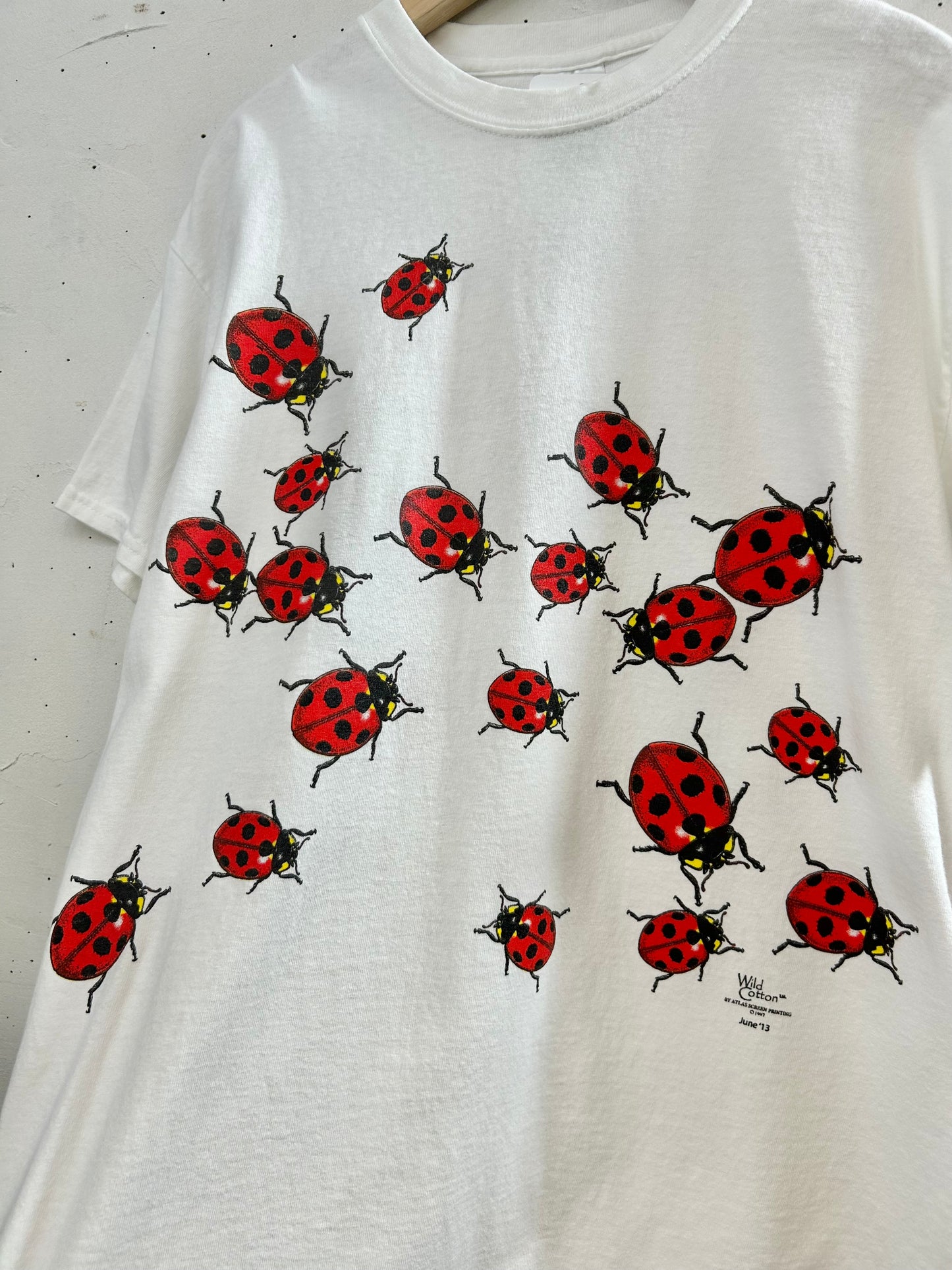 '90s Vintage T-Shirt 〜GILDAN〜 [D30067]