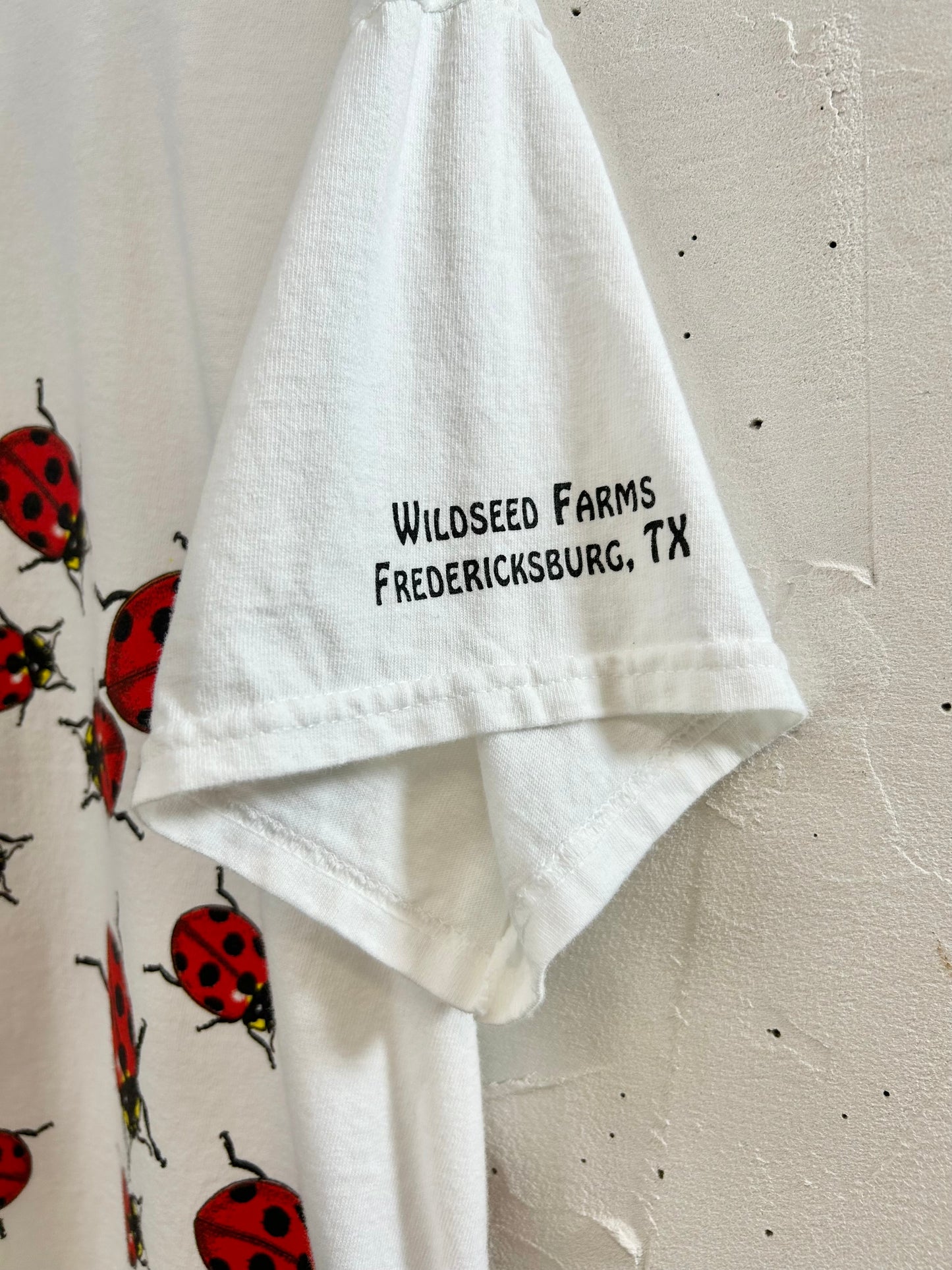 '90s Vintage T-Shirt 〜GILDAN〜 [D30067]