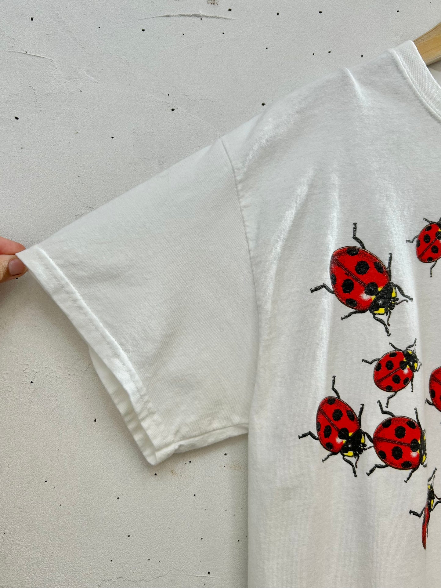 '90s Vintage T-Shirt 〜GILDAN〜 [D30067]