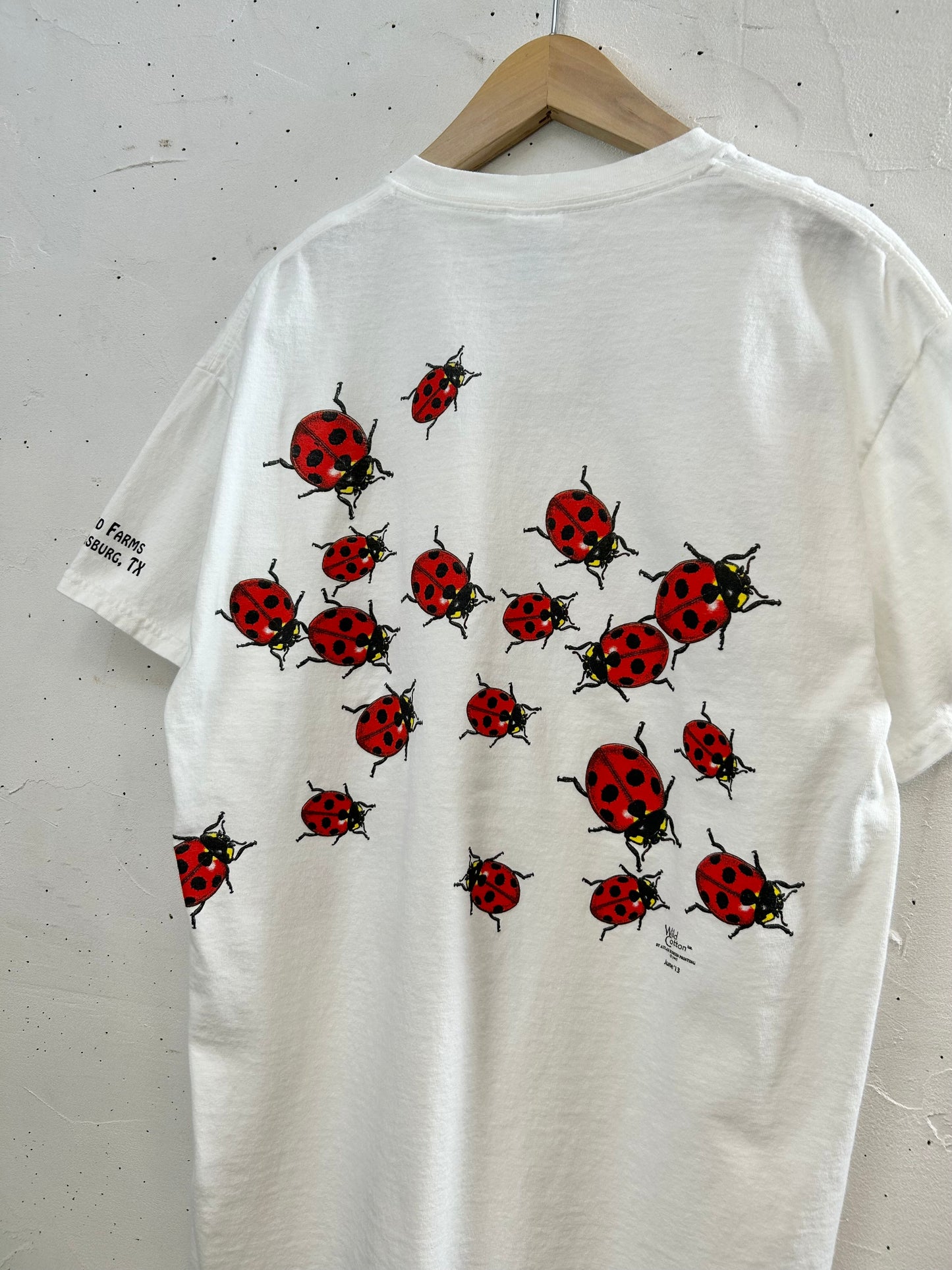 '90s Vintage T-Shirt 〜GILDAN〜 [D30067]