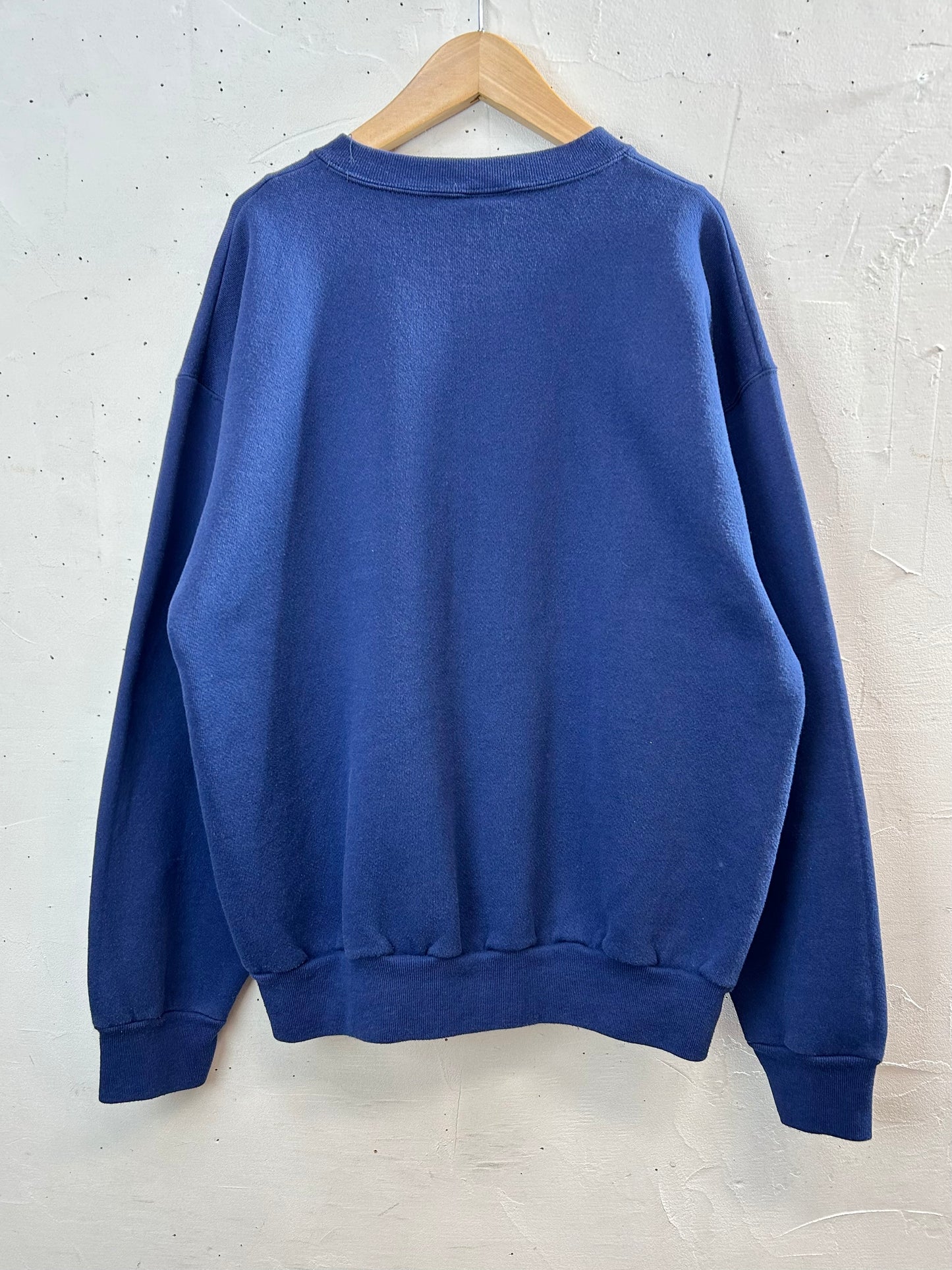 '90s Vintage Sweat MADE IN USA 〜Tultex〜 [L29205]