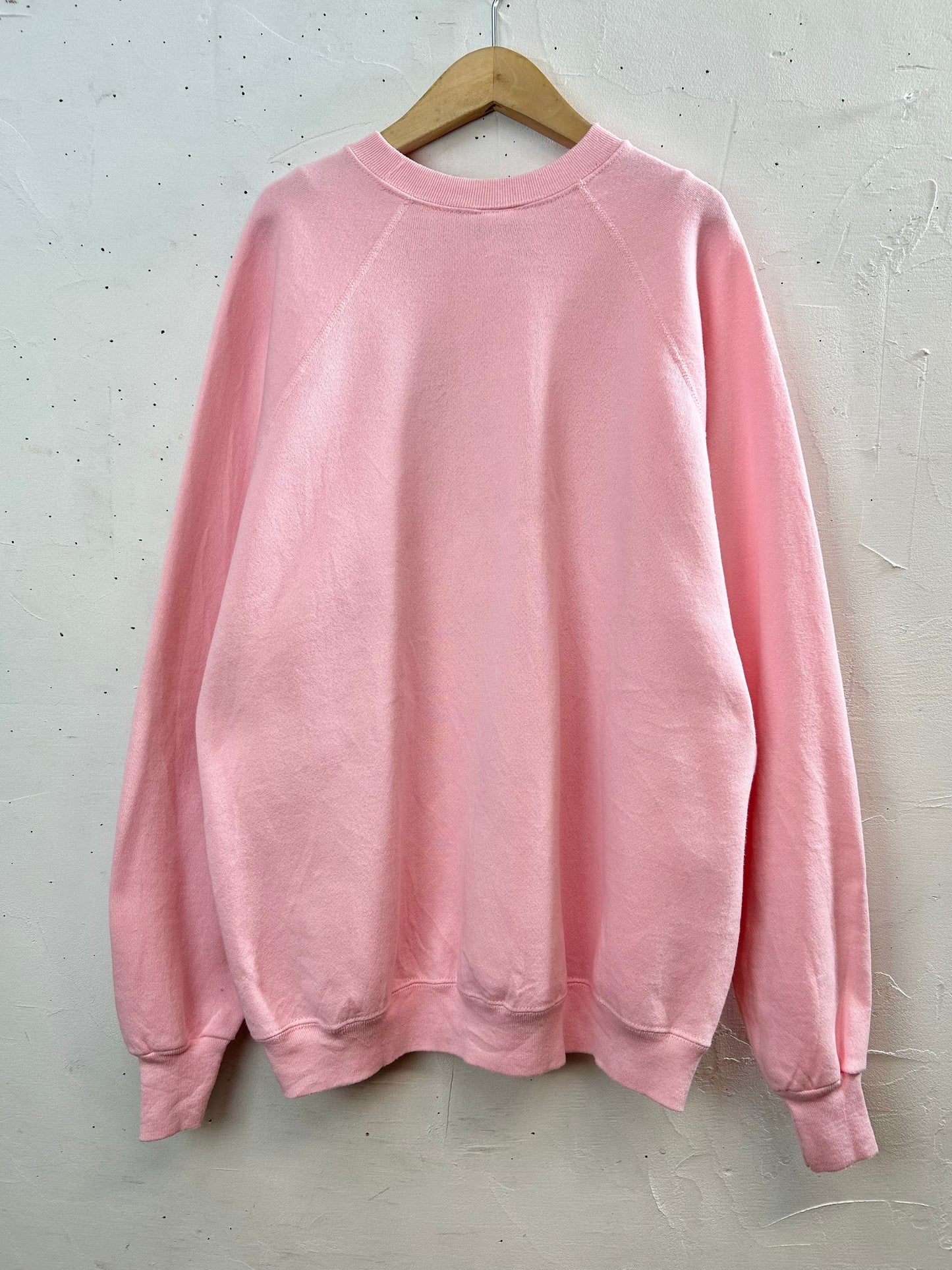 '80s Vintage Sweat MADE IN USA 〜Tultex〜 [L29203]